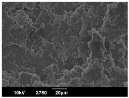 Polymers 16 00320 i011 Polymers 16 00320 i011