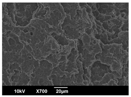 Polymers 16 00320 i012 Polymers 16 00320 i012