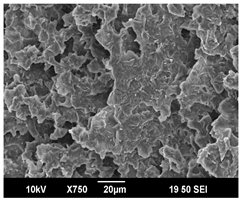 Polymers 16 00320 i013 Polymers 16 00320 i013