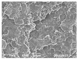 Polymers 16 00320 i014 Polymers 16 00320 i014