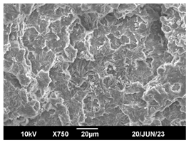 Polymers 16 00320 i015 Polymers 16 00320 i015