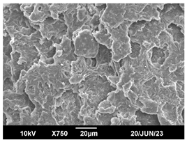 Polymers 16 00320 i017 Polymers 16 00320 i017