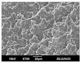 Polymers 16 00320 i018 Polymers 16 00320 i018