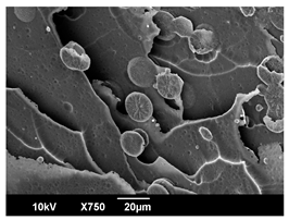 Polymers 16 00320 i019 Polymers 16 00320 i019