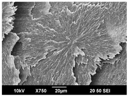 Polymers 16 00320 i020 Polymers 16 00320 i020