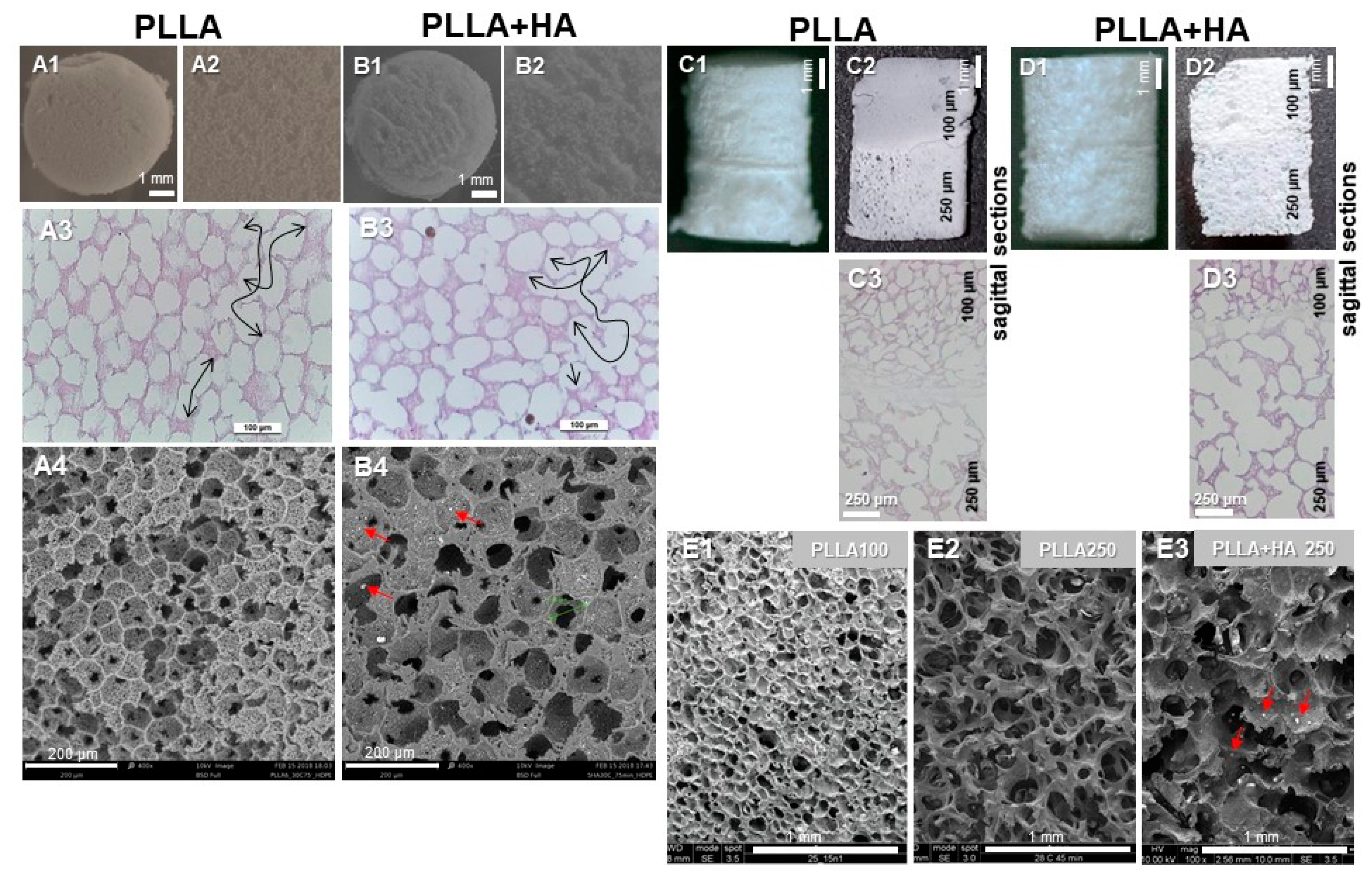 Polymers 16 00331 g001