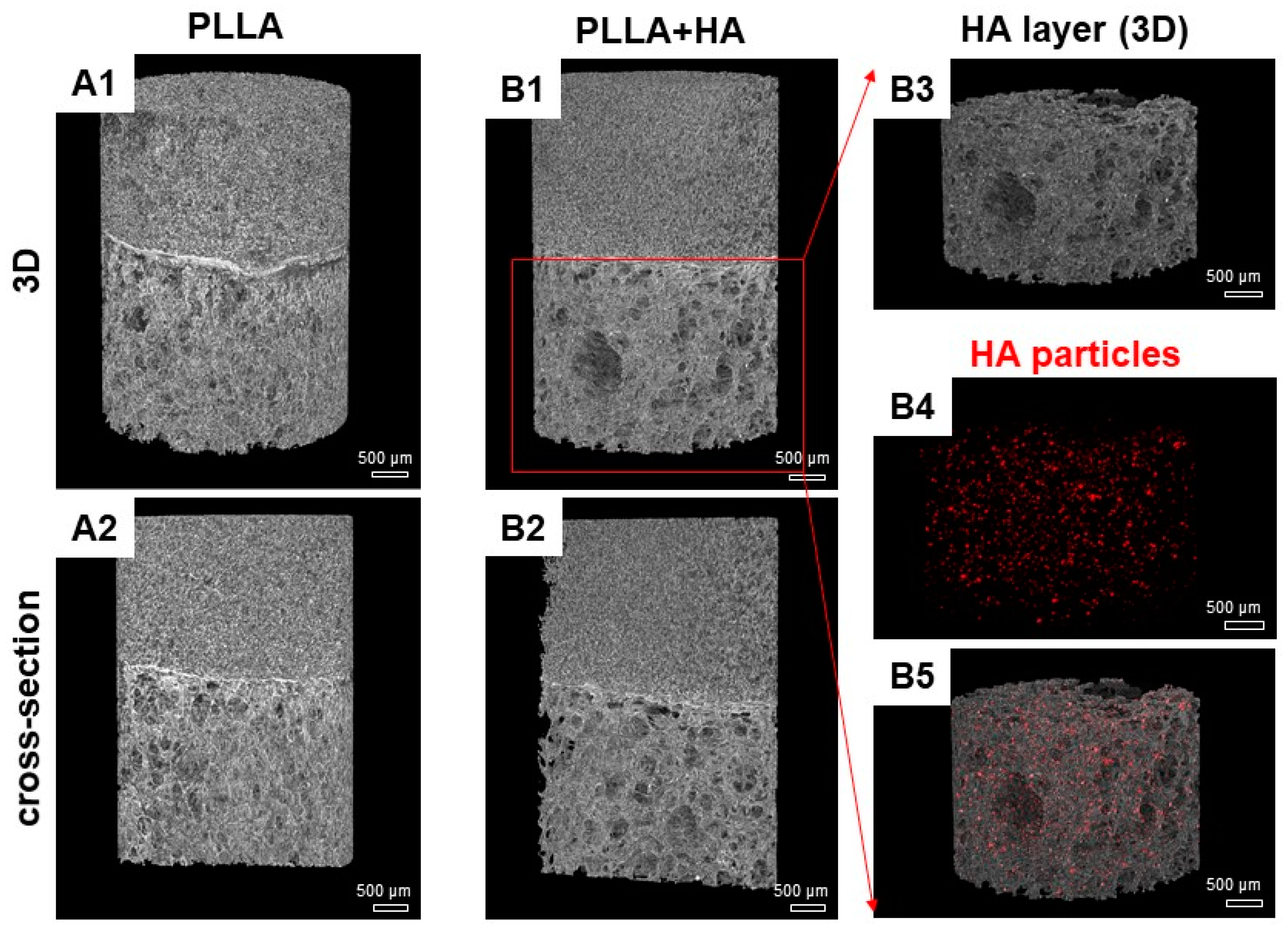 Polymers 16 00331 g002