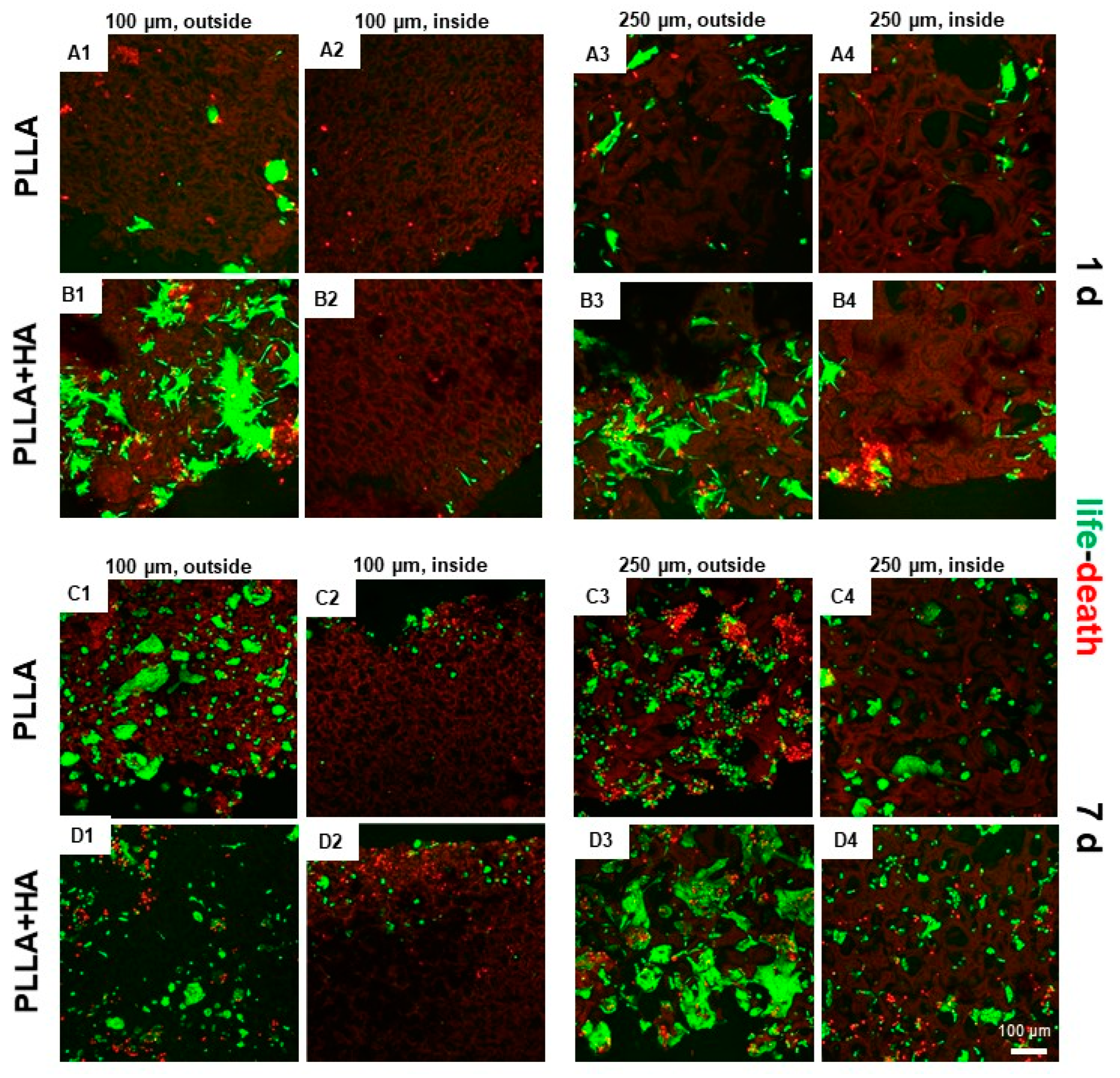 Polymers 16 00331 g006