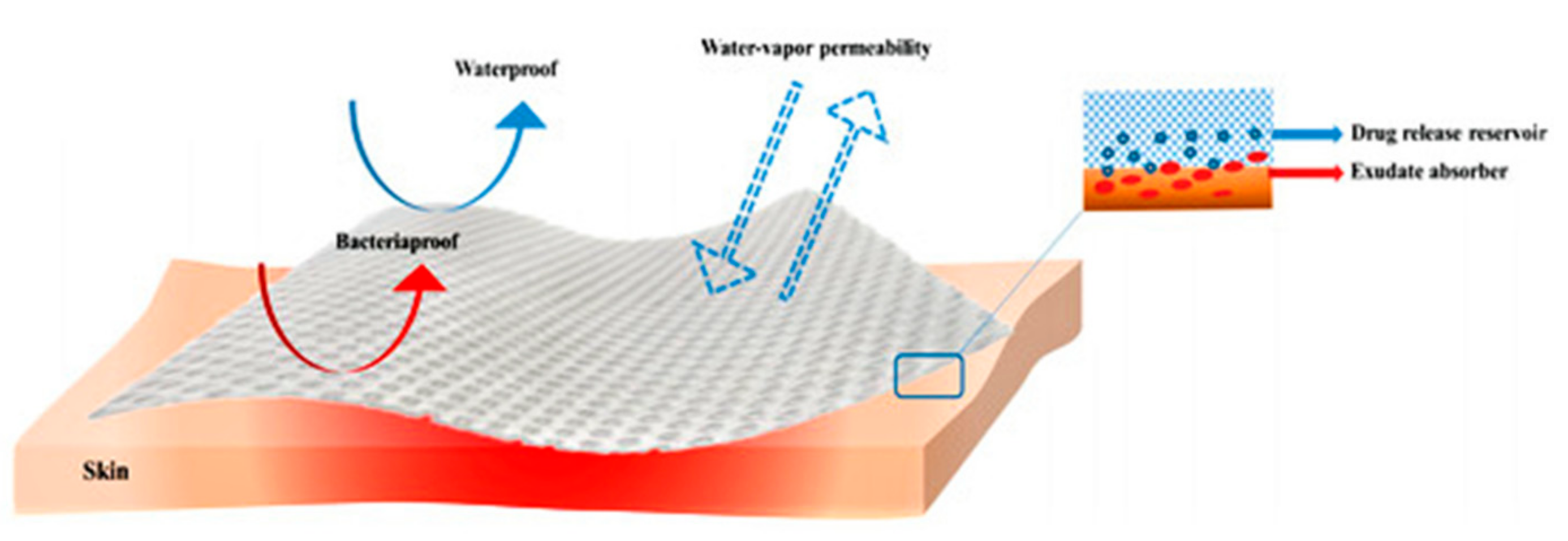 Polymers 16 00344 g001
