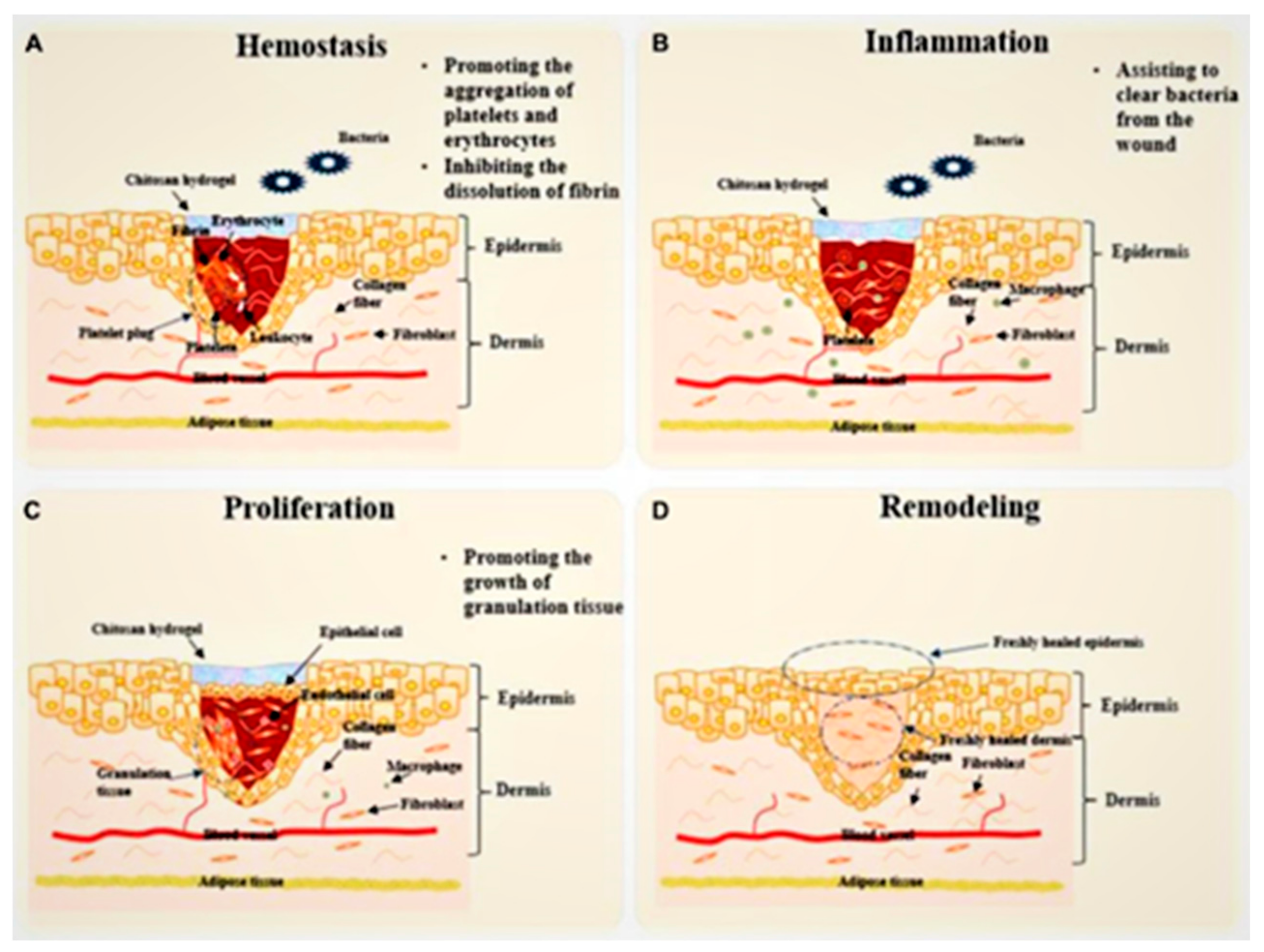 Polymers 16 00344 g002