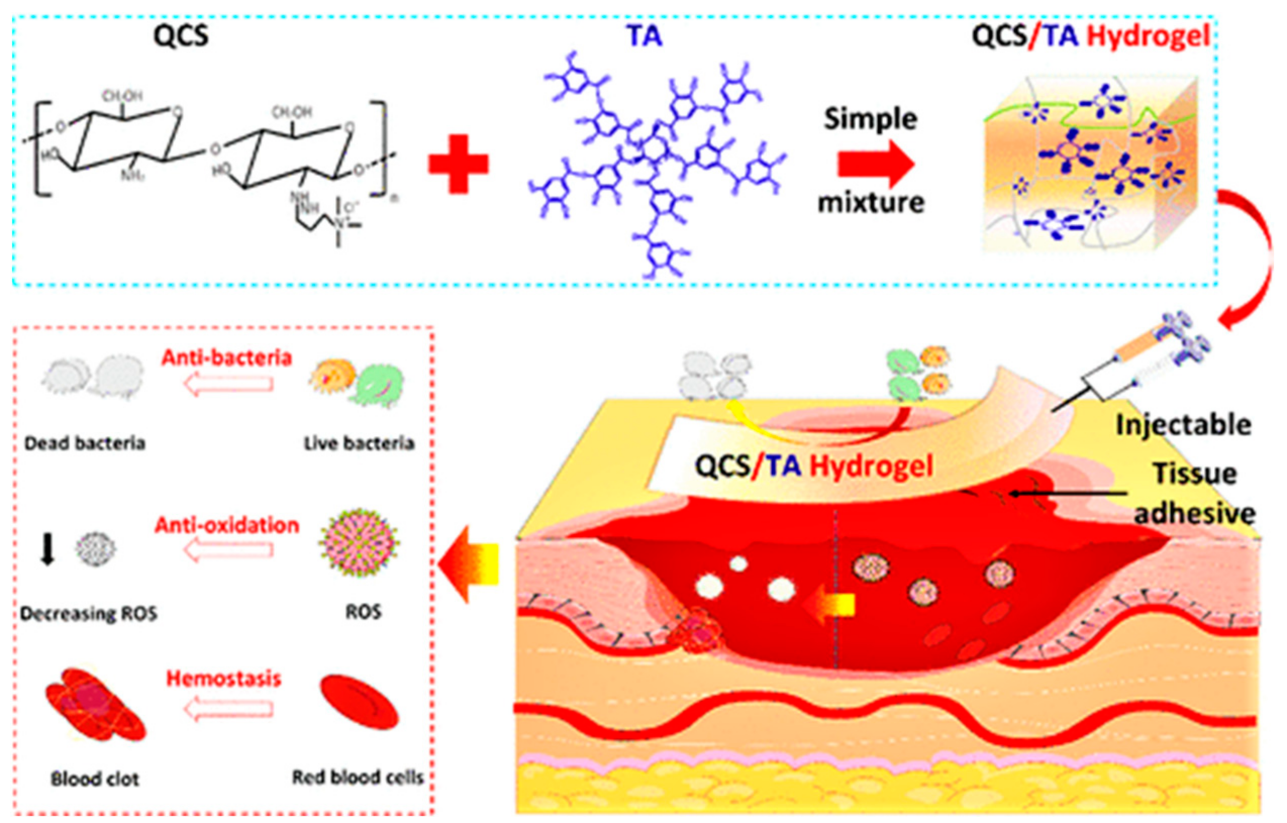Polymers 16 00344 g003