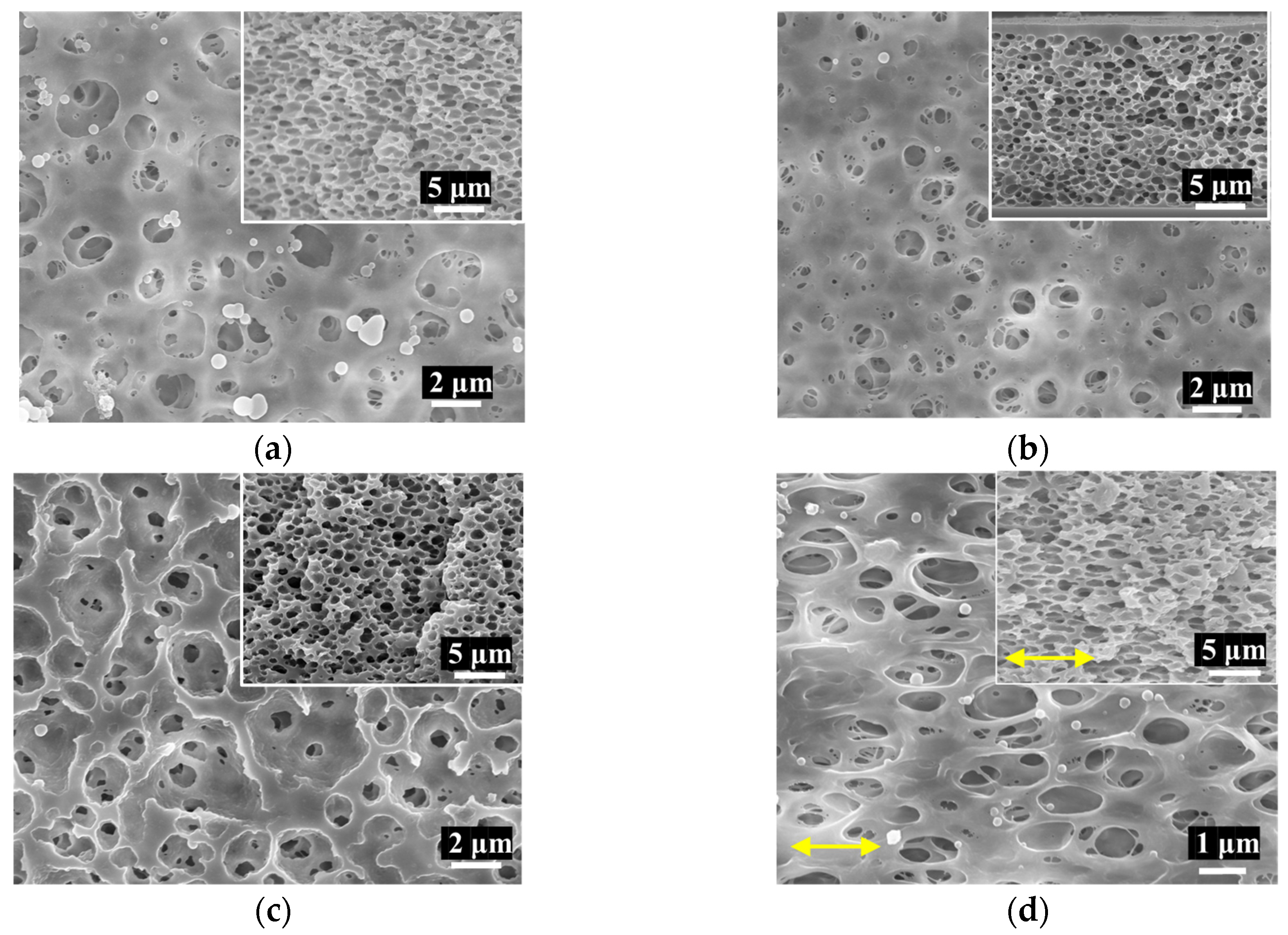 Polymers 16 00357 g002