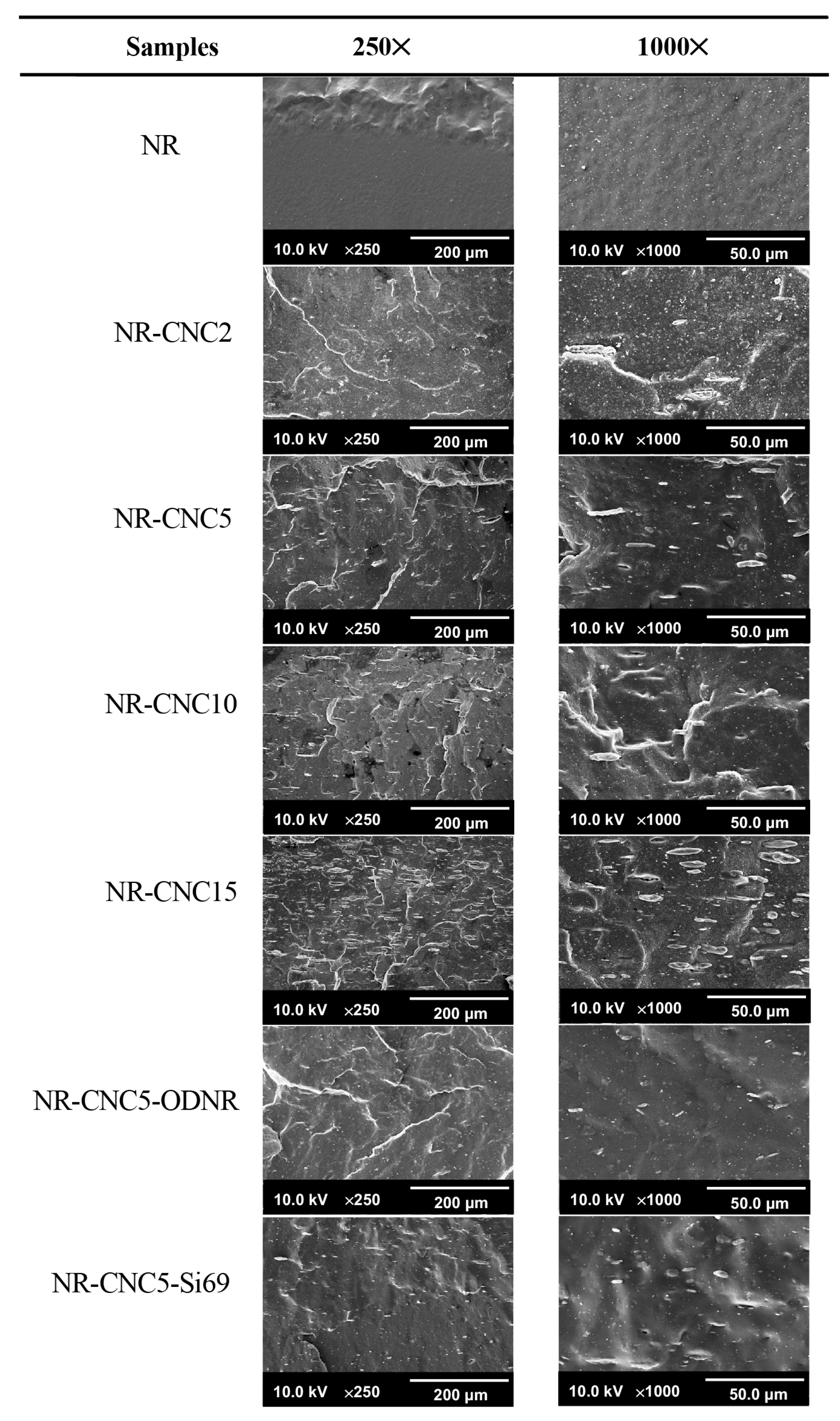 Polymers 16 00363 g010 Polymers 16 00363 g010