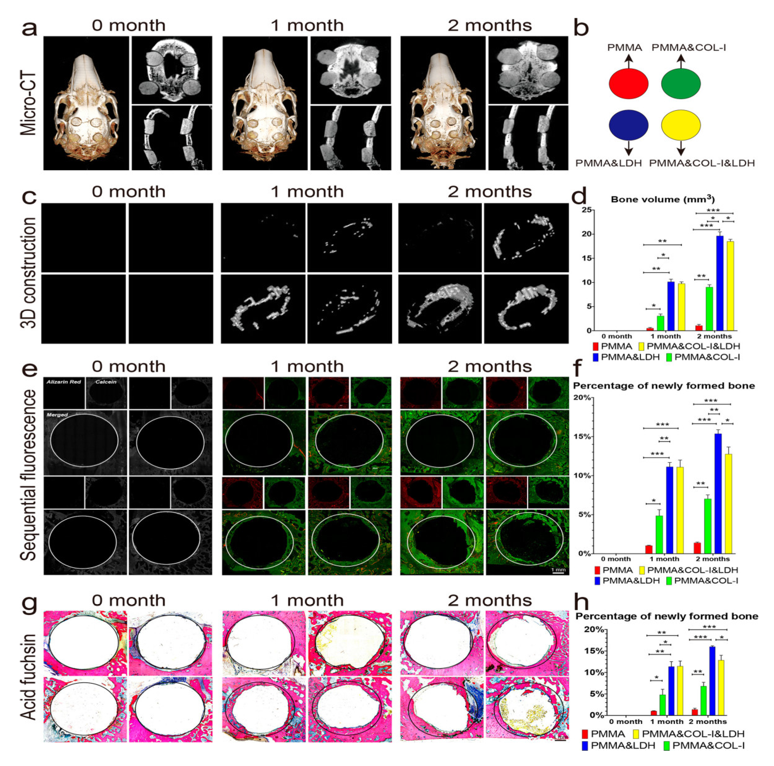 Polymers 16 00367 g003