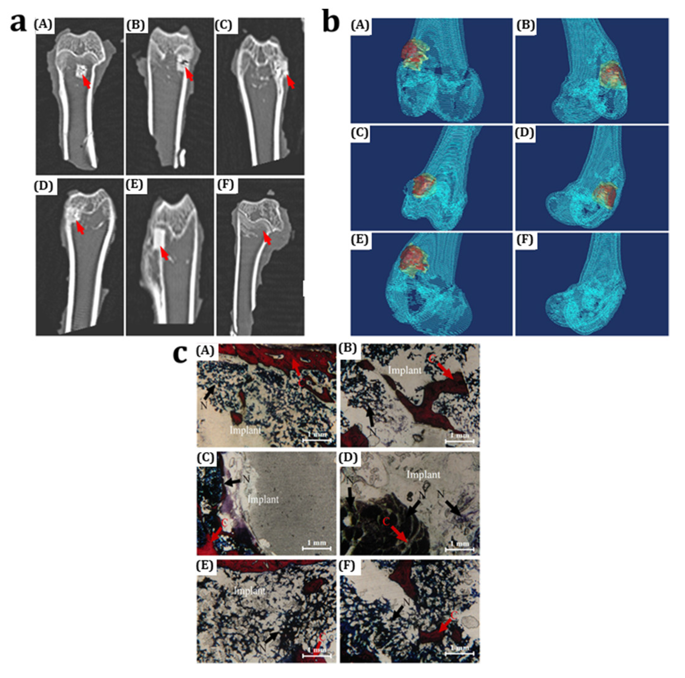 Polymers 16 00367 g004