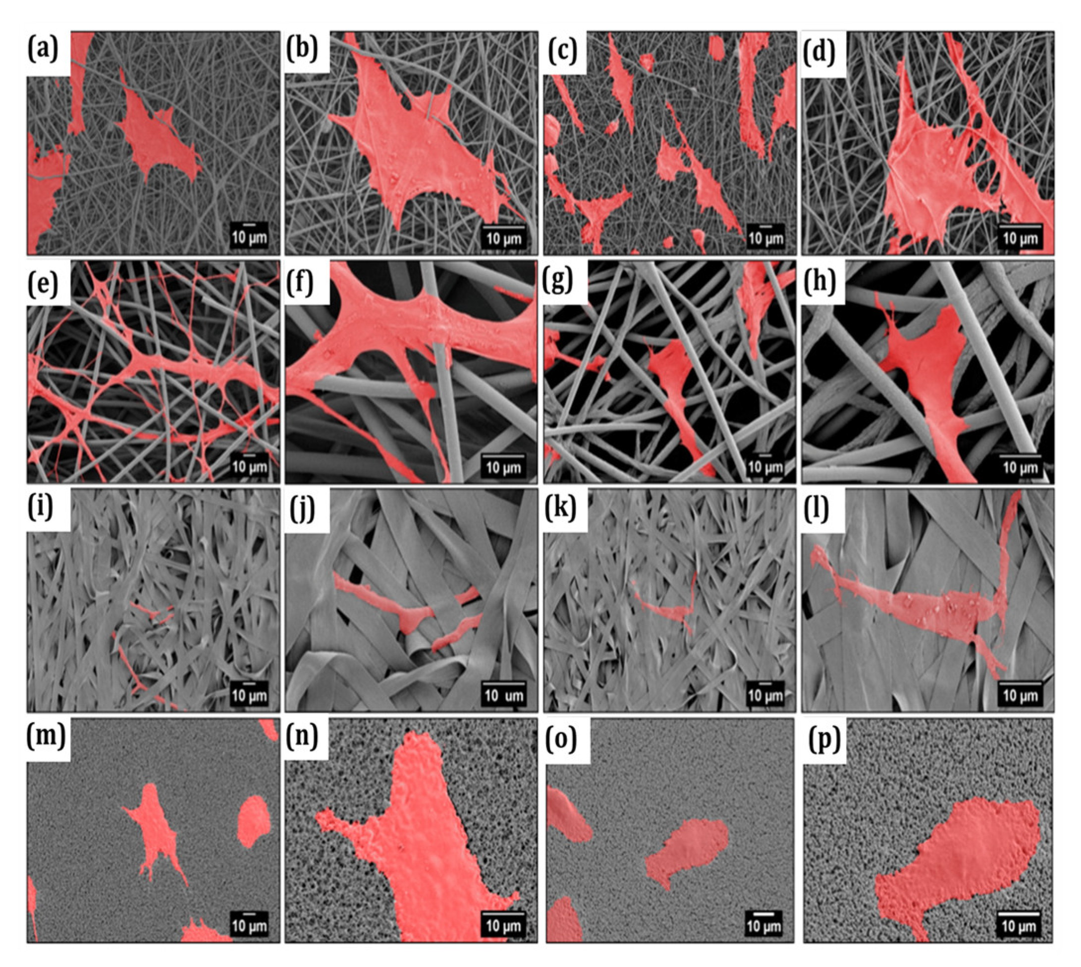 Polymers 16 00367 g006
