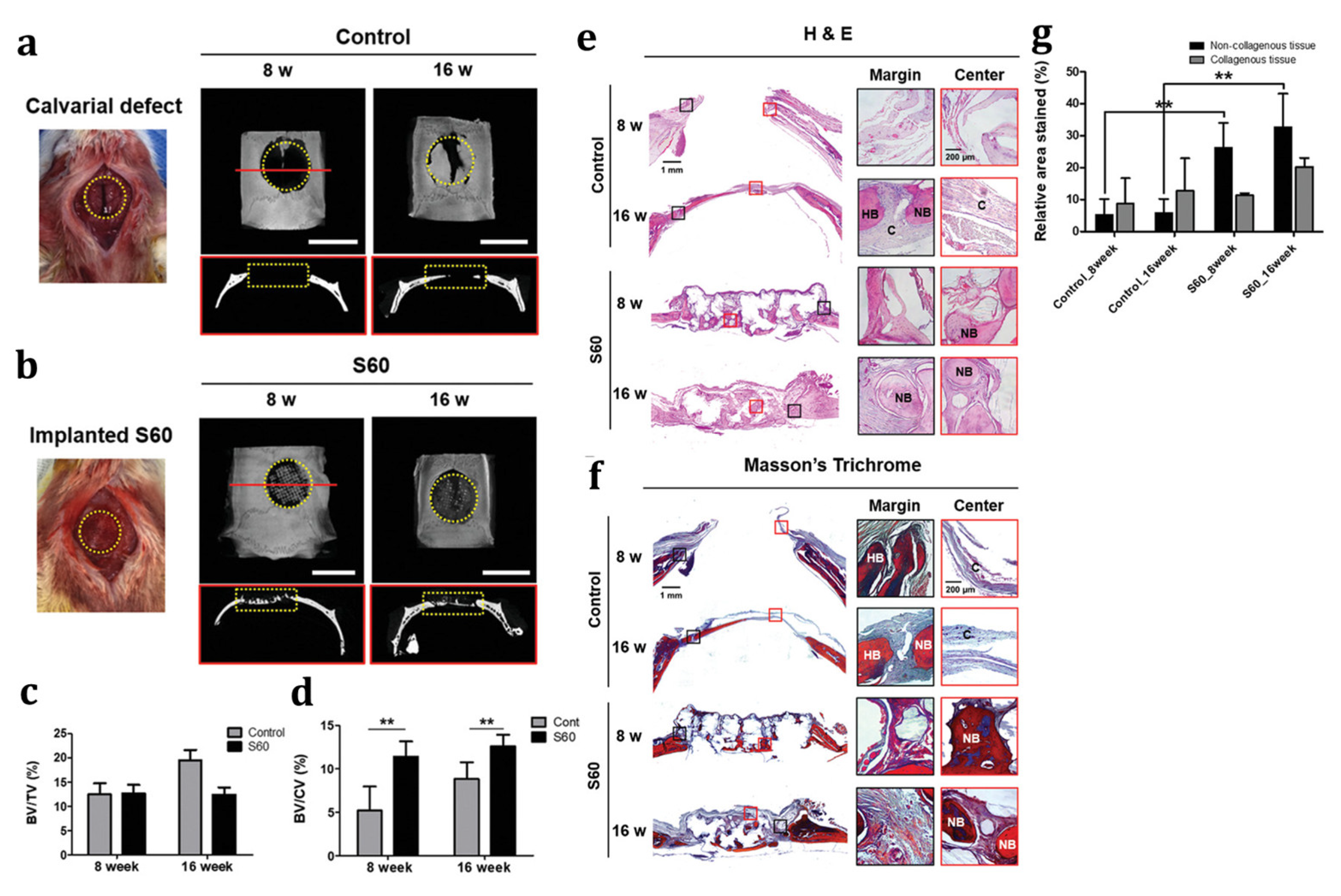 Polymers 16 00367 g007