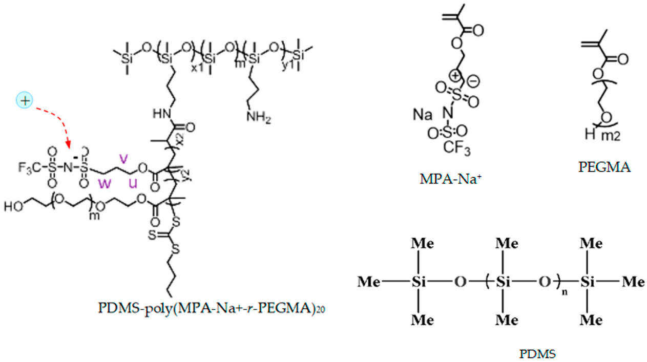 Polymers 16 00368 i003
