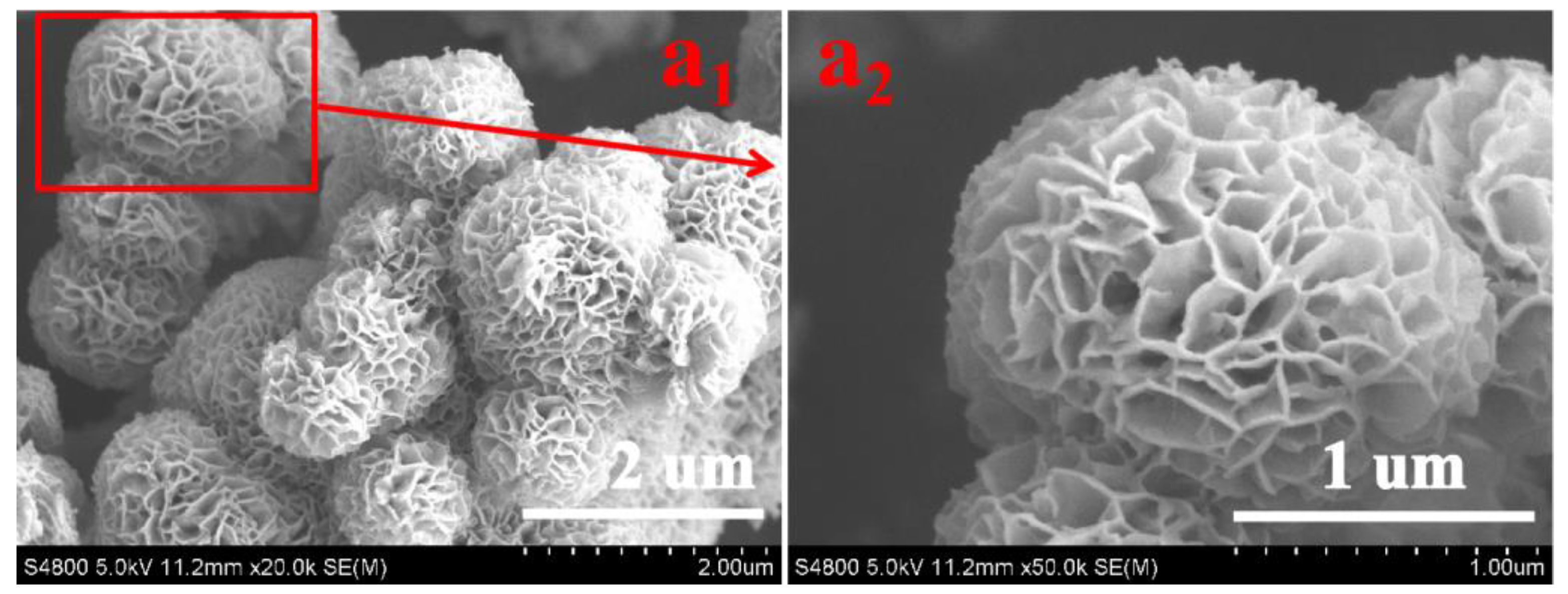 Polymers 16 00369 g001