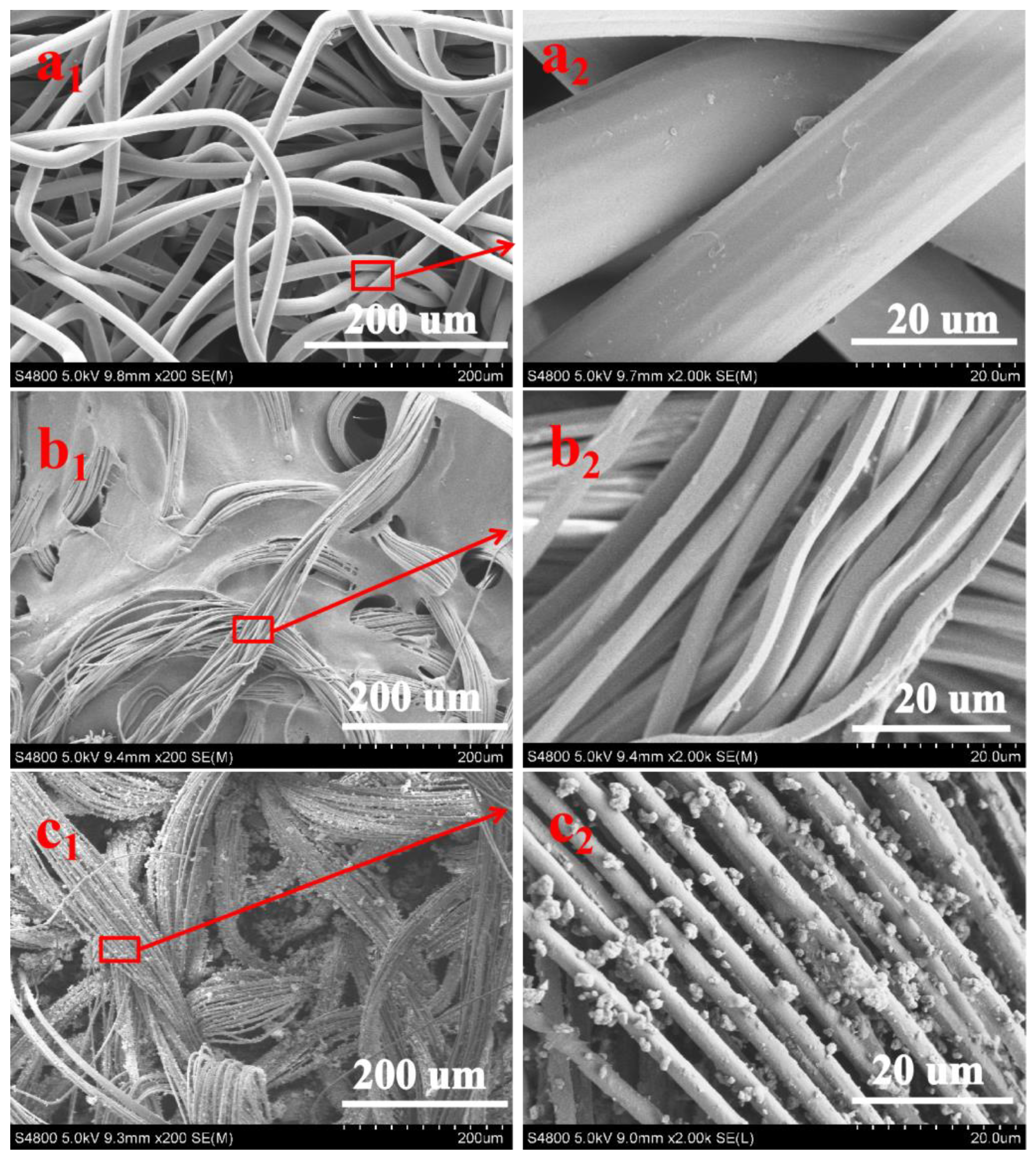 Polymers 16 00369 g002