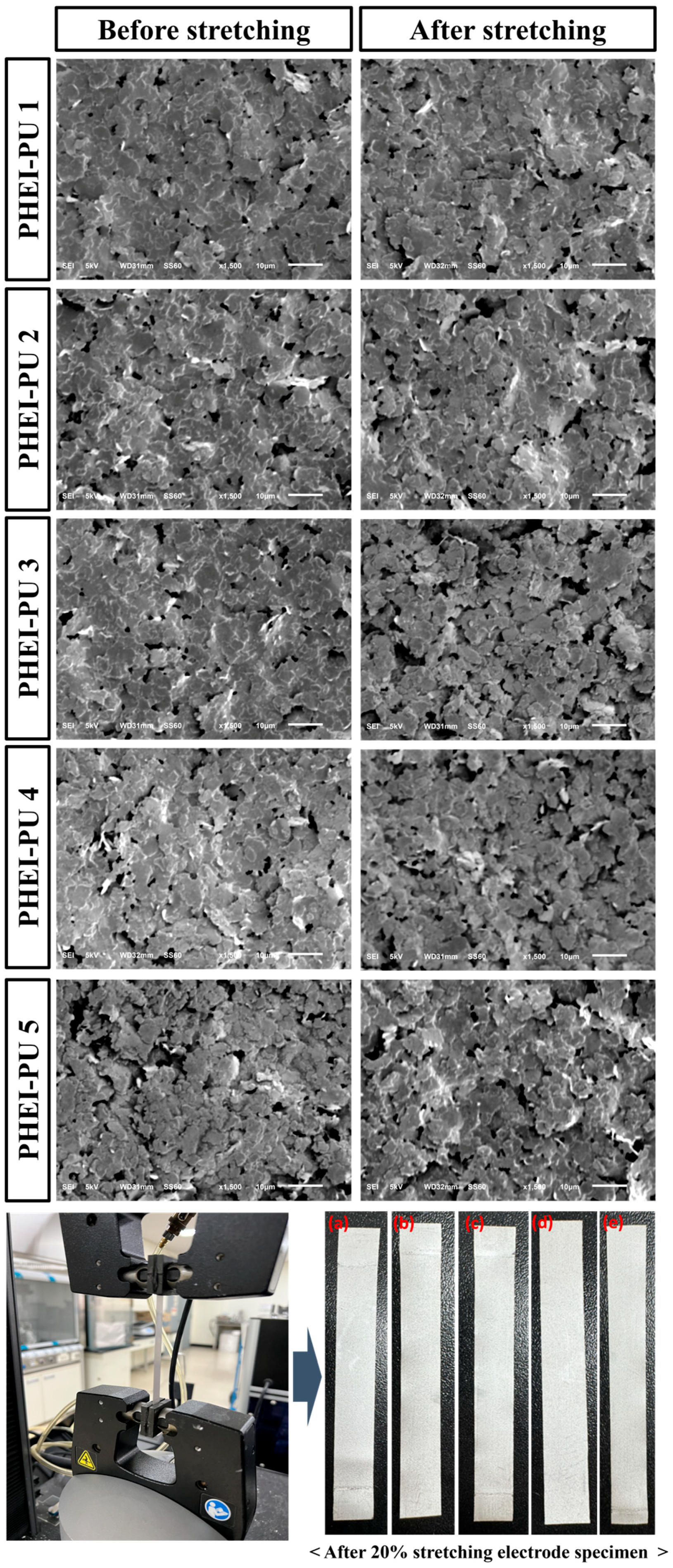 Polymers 16 00375 g008