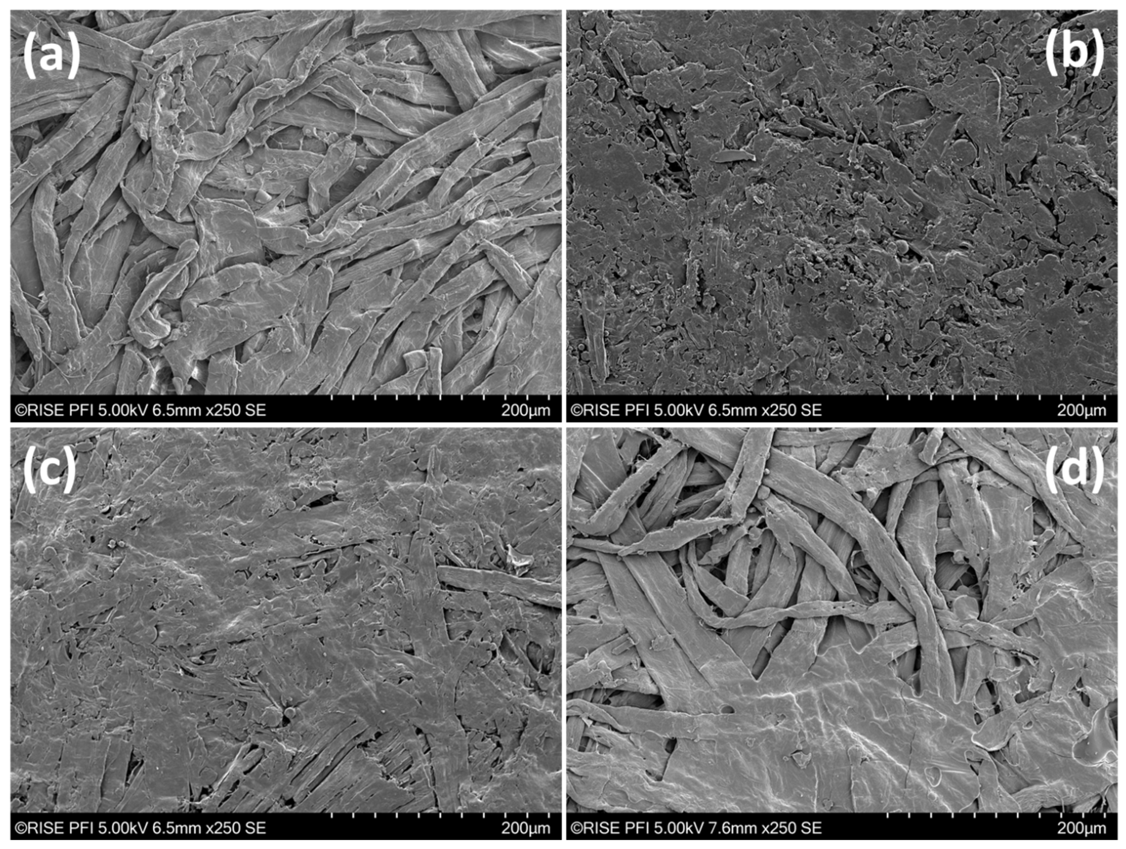 Polymers 16 00377 g003