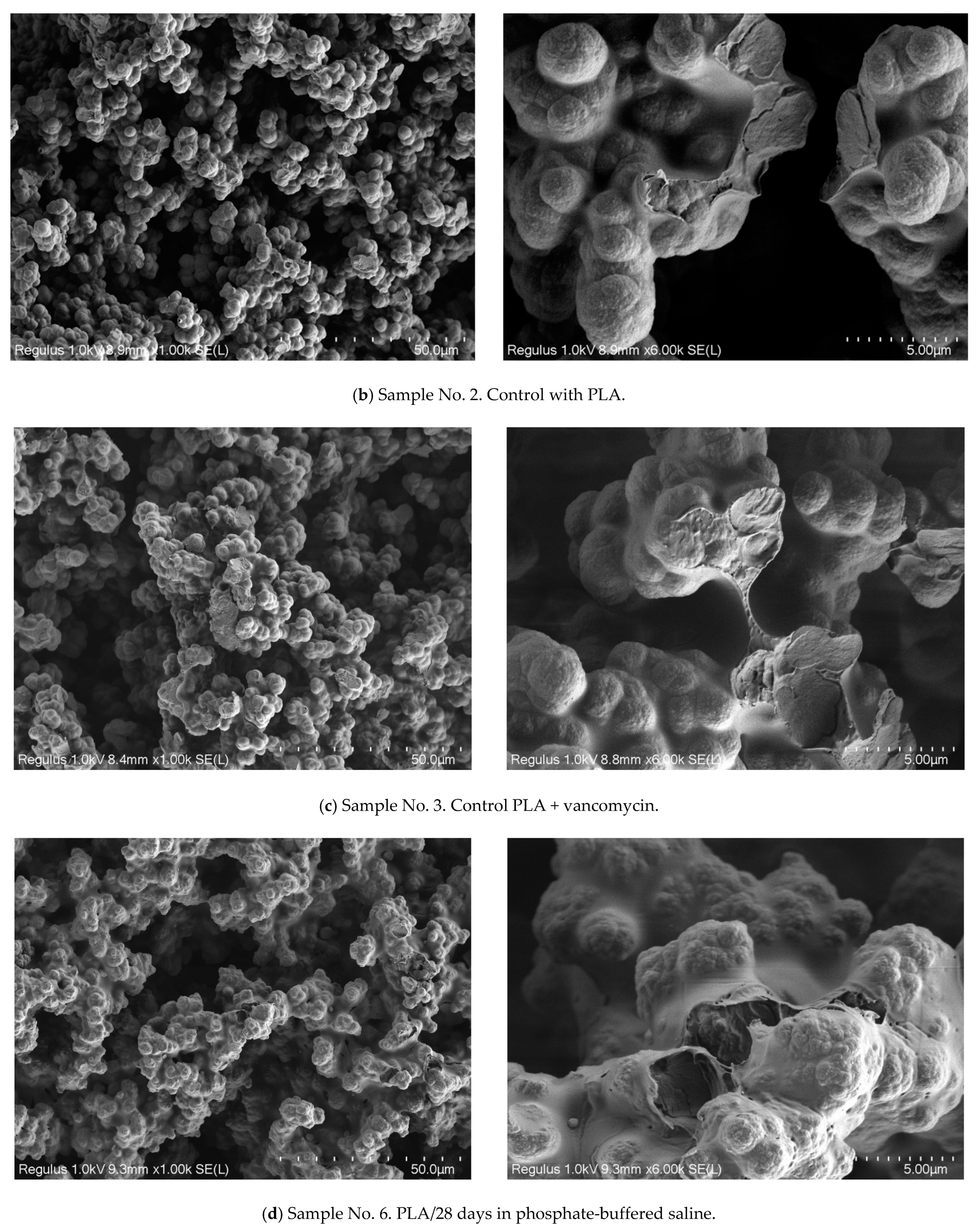 Polymers 16 00379 g006b