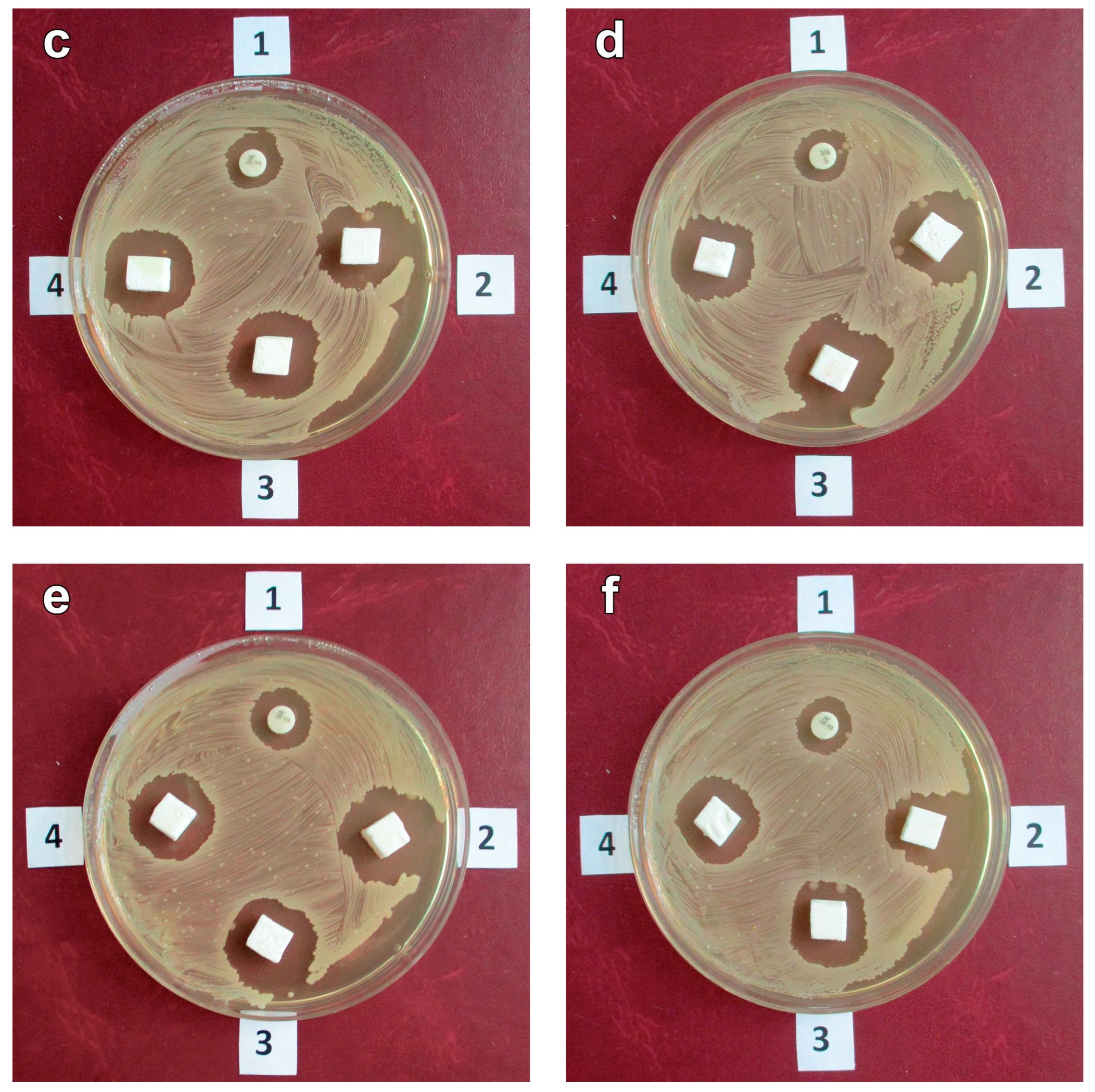 Polymers 16 00379 g007b