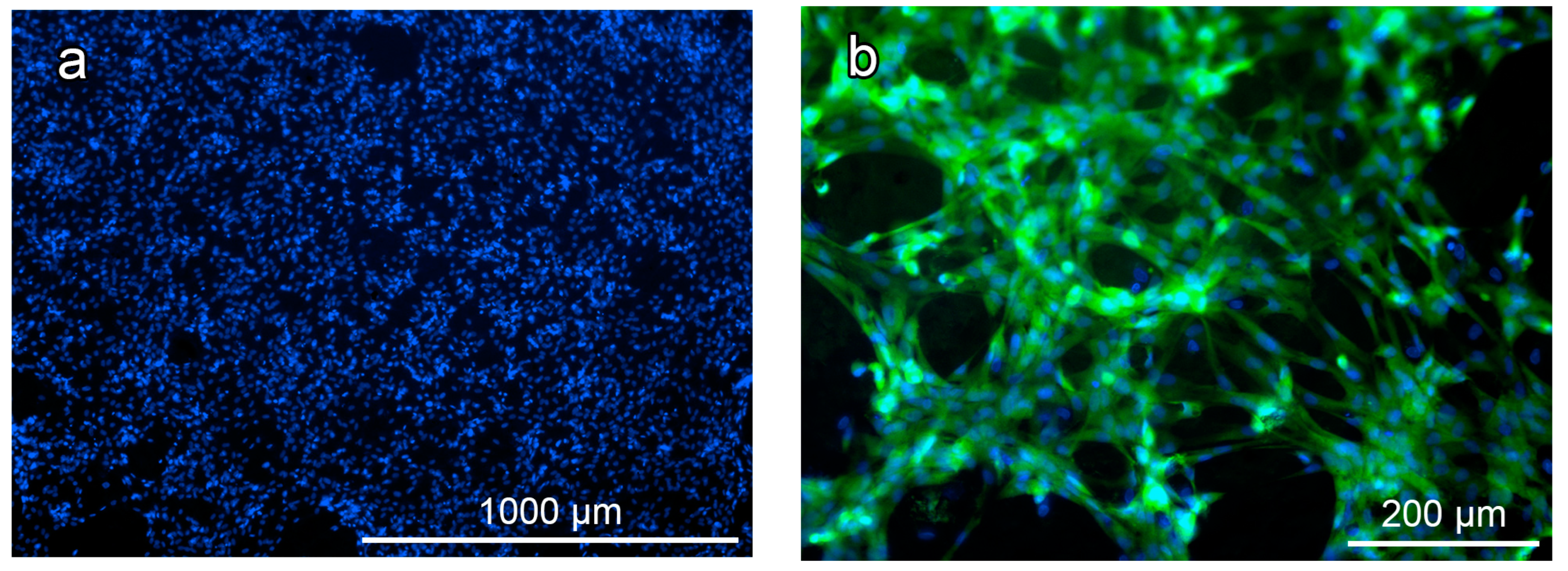 Polymers 16 00379 g008