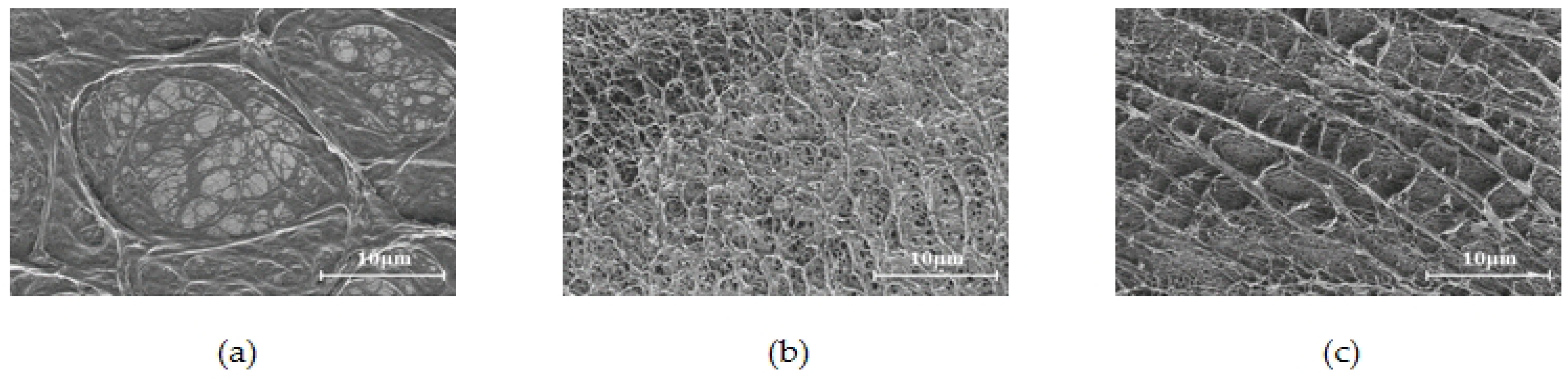 Polymers 16 00383 g003