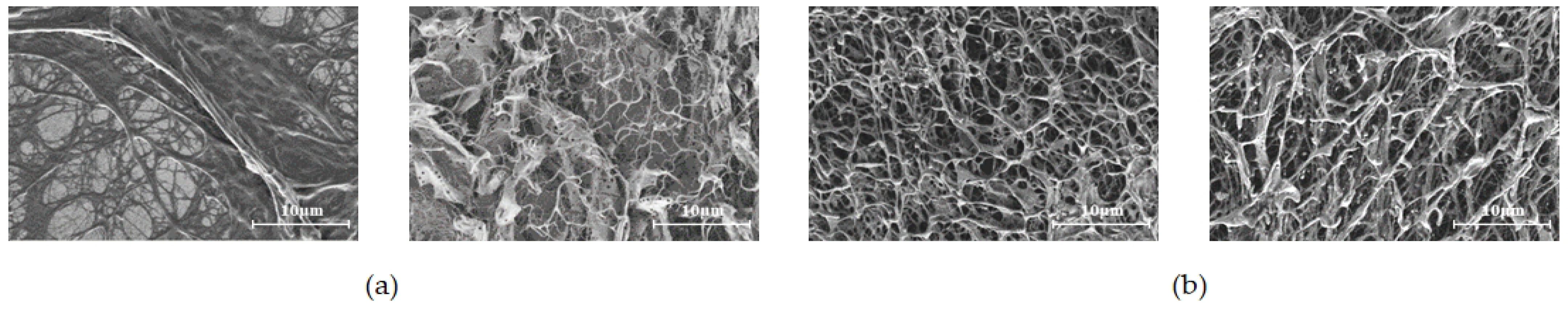 Polymers 16 00383 g005