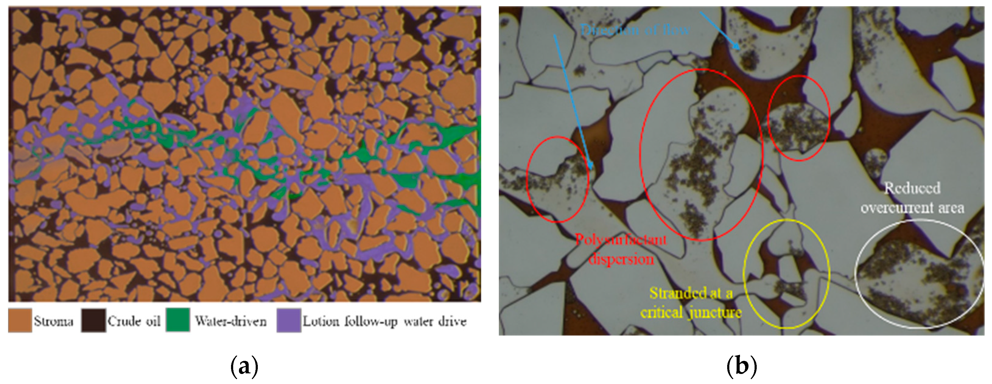 Polymers 16 00383 g009