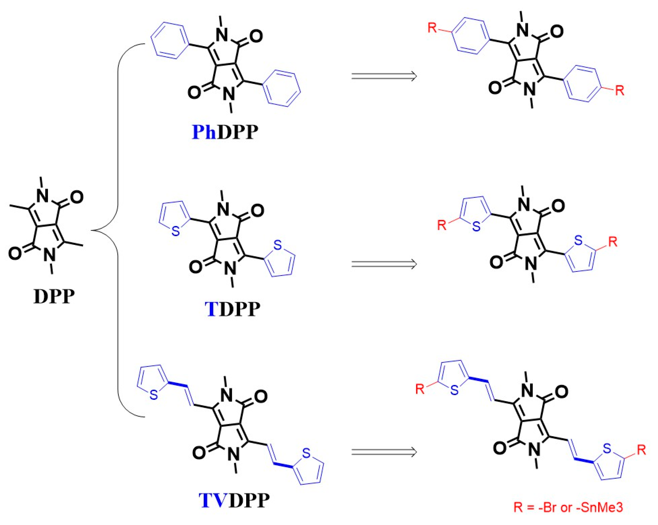 Polymers 16 00396 g001