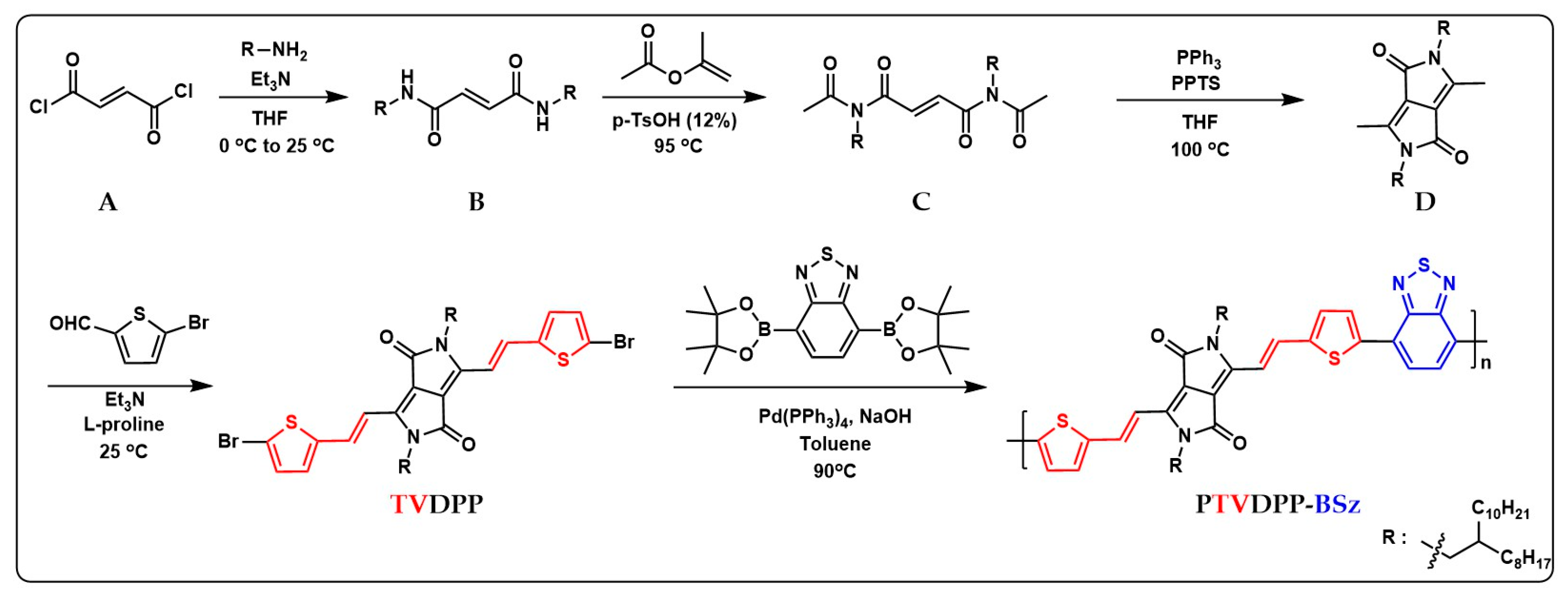 Polymers 16 00396 g002
