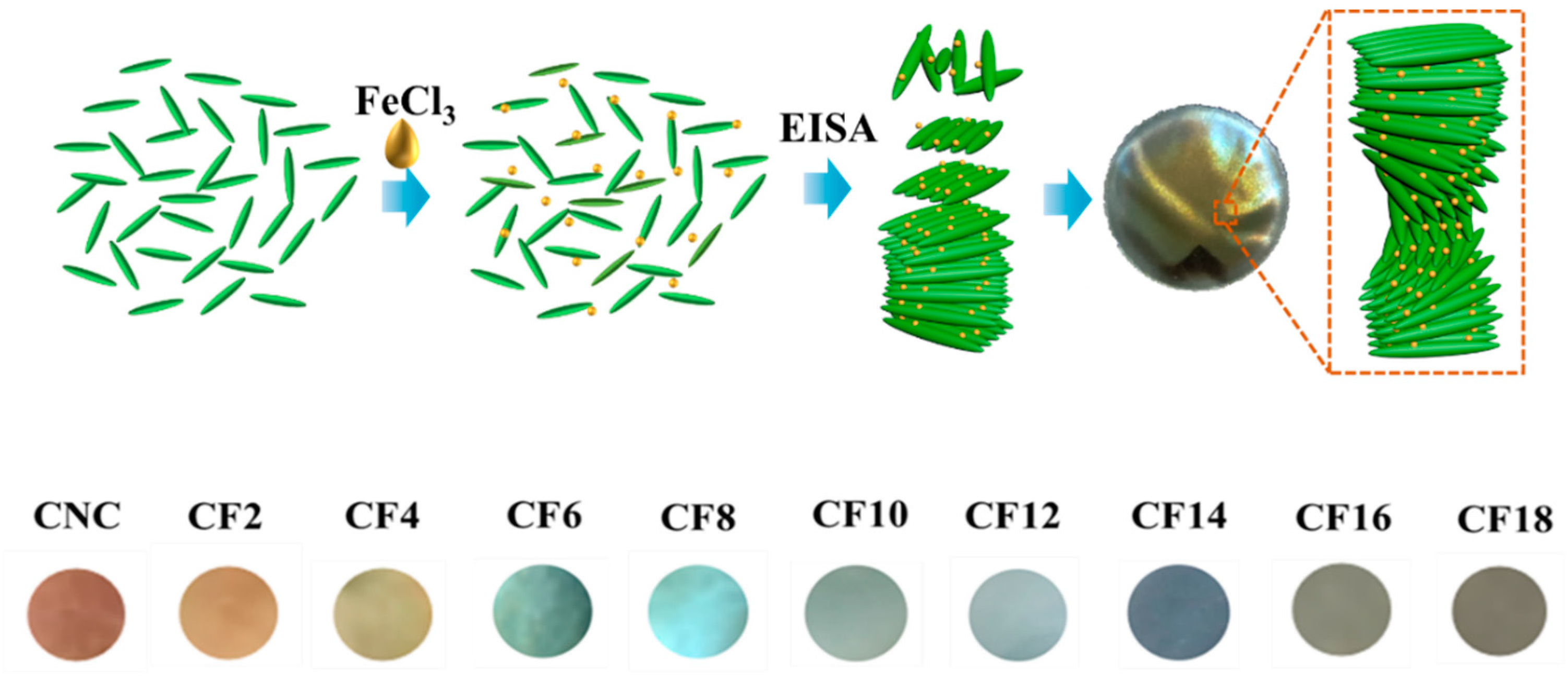 Polymers 16 00399 g001