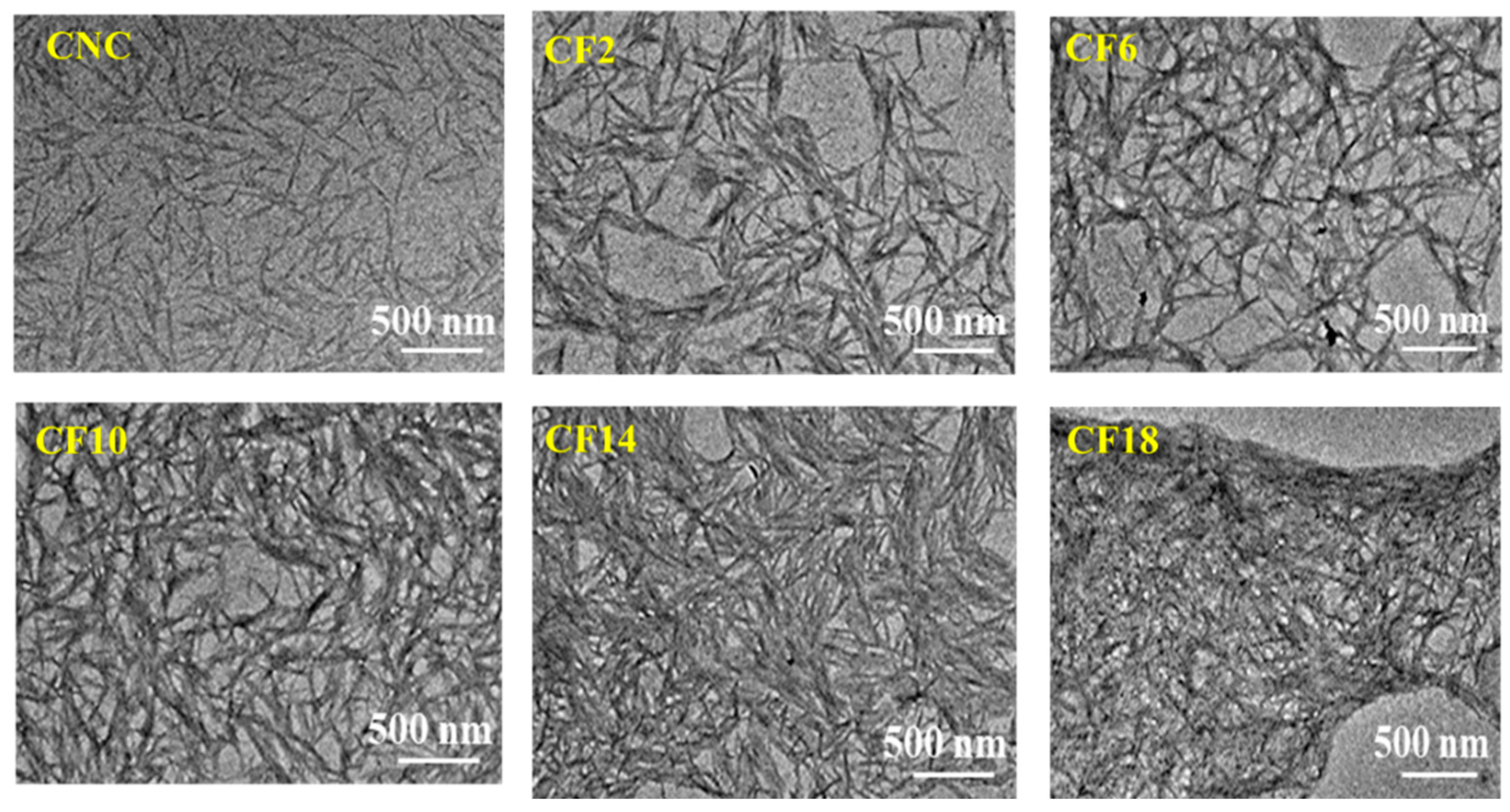 Polymers 16 00399 g002