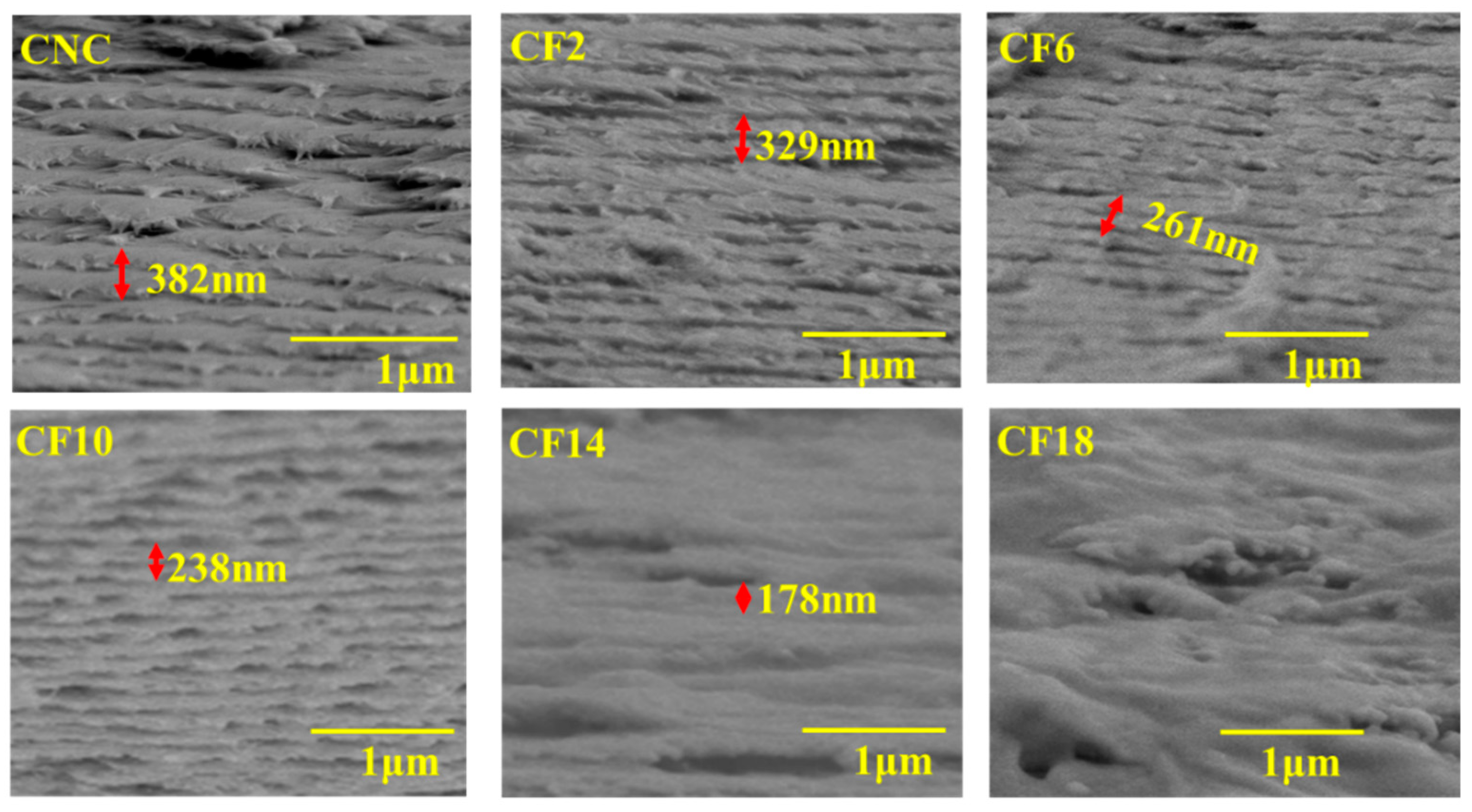 Polymers 16 00399 g003