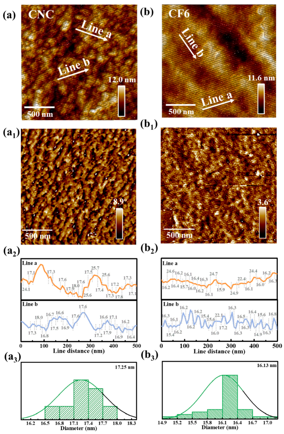Polymers 16 00399 g004