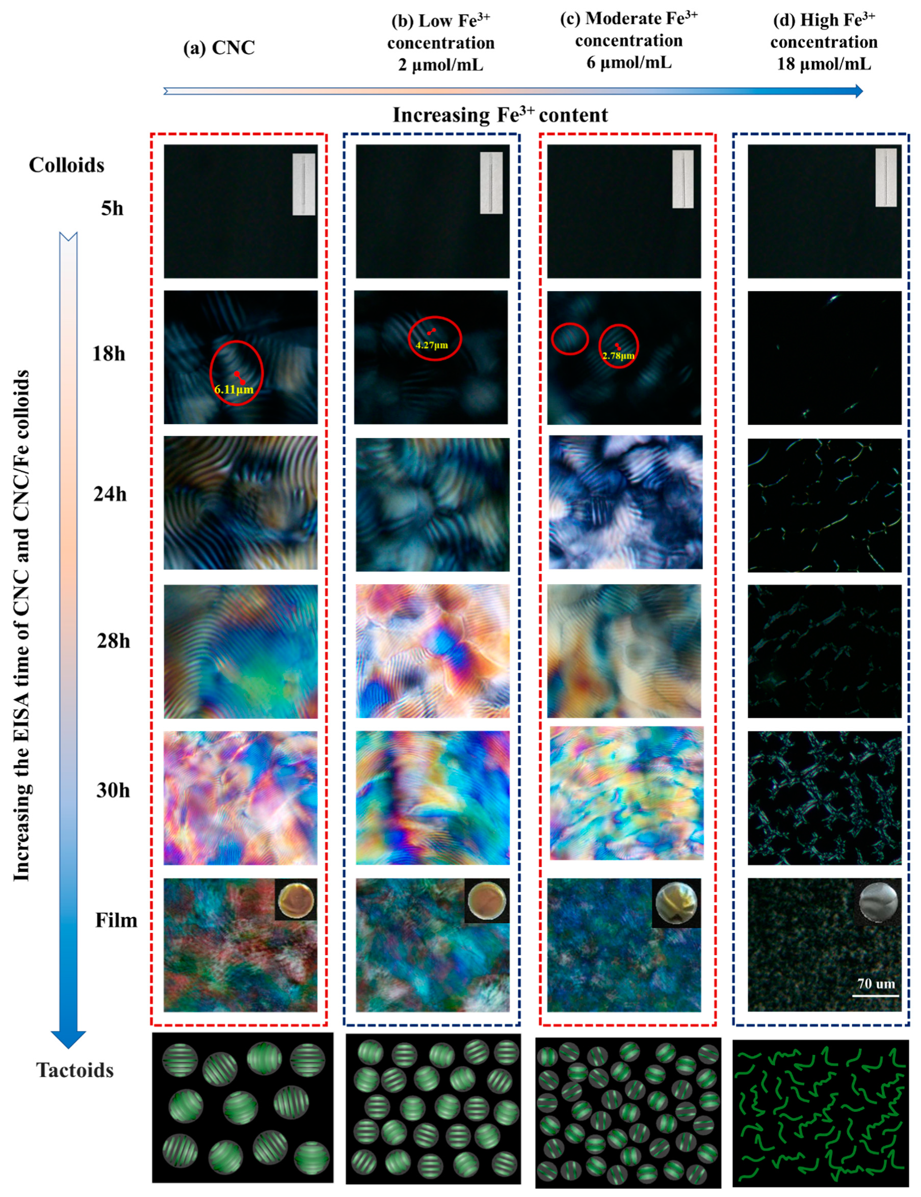Polymers 16 00399 g006