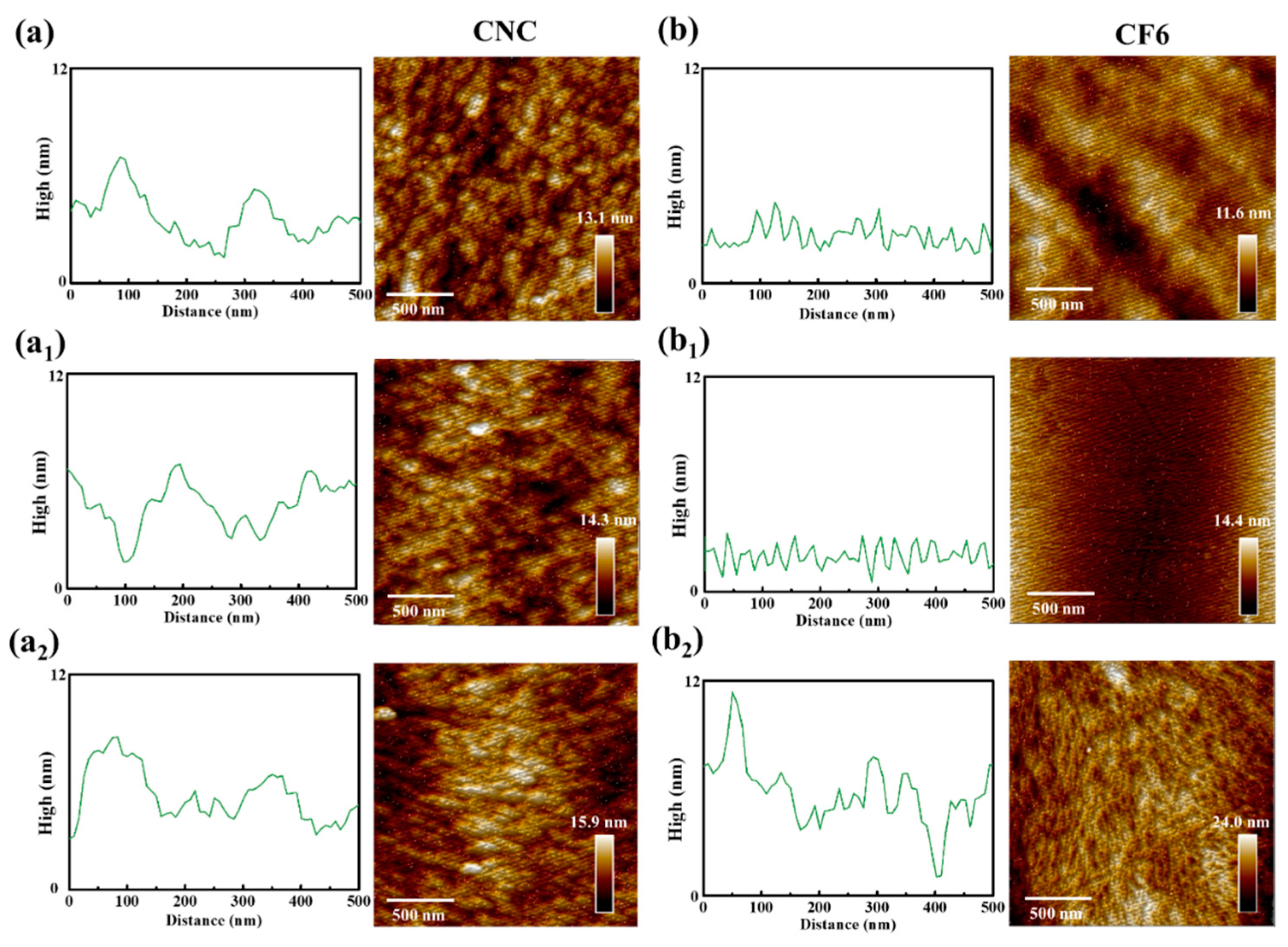 Polymers 16 00399 g010