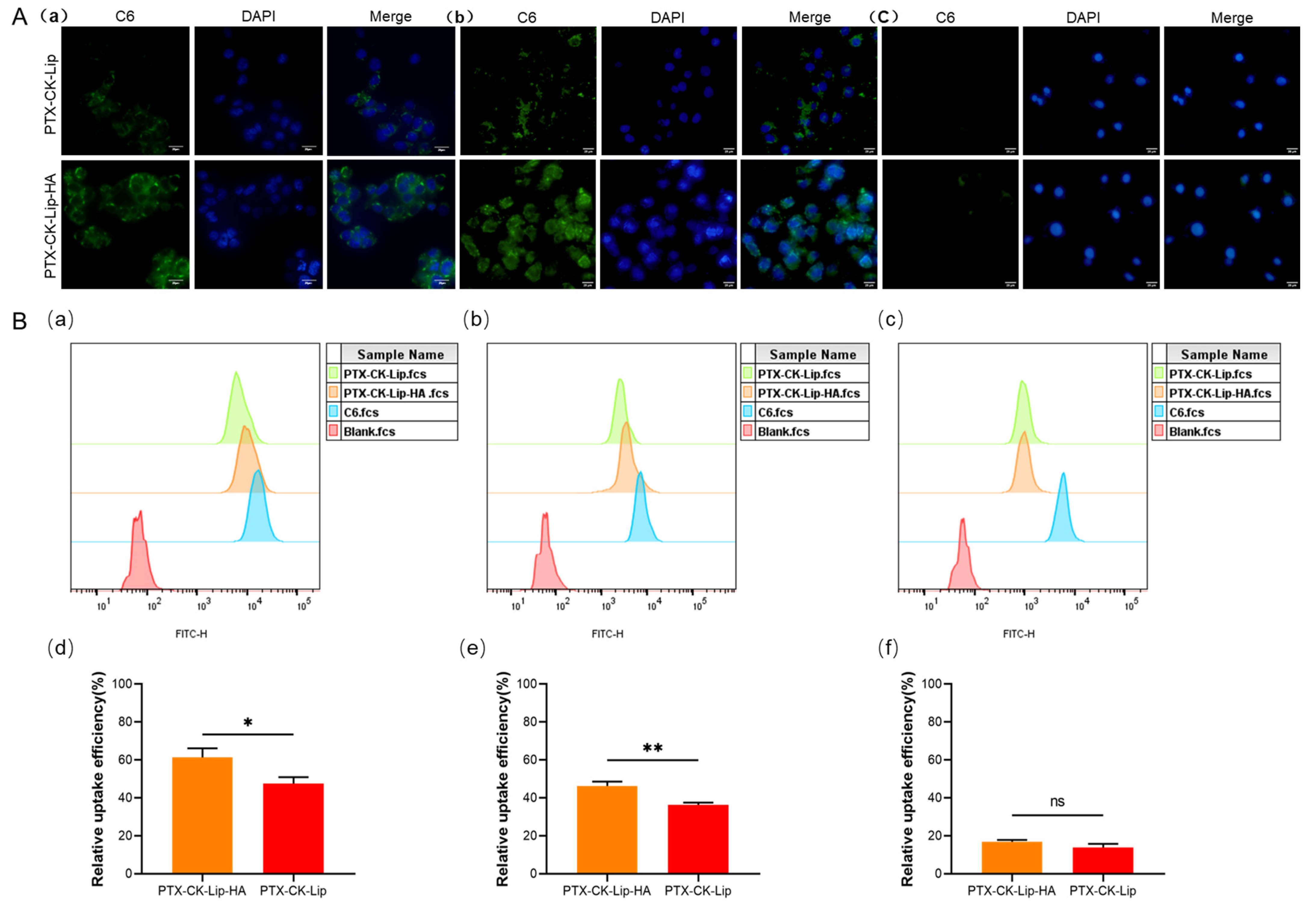Polymers 16 00405 g006