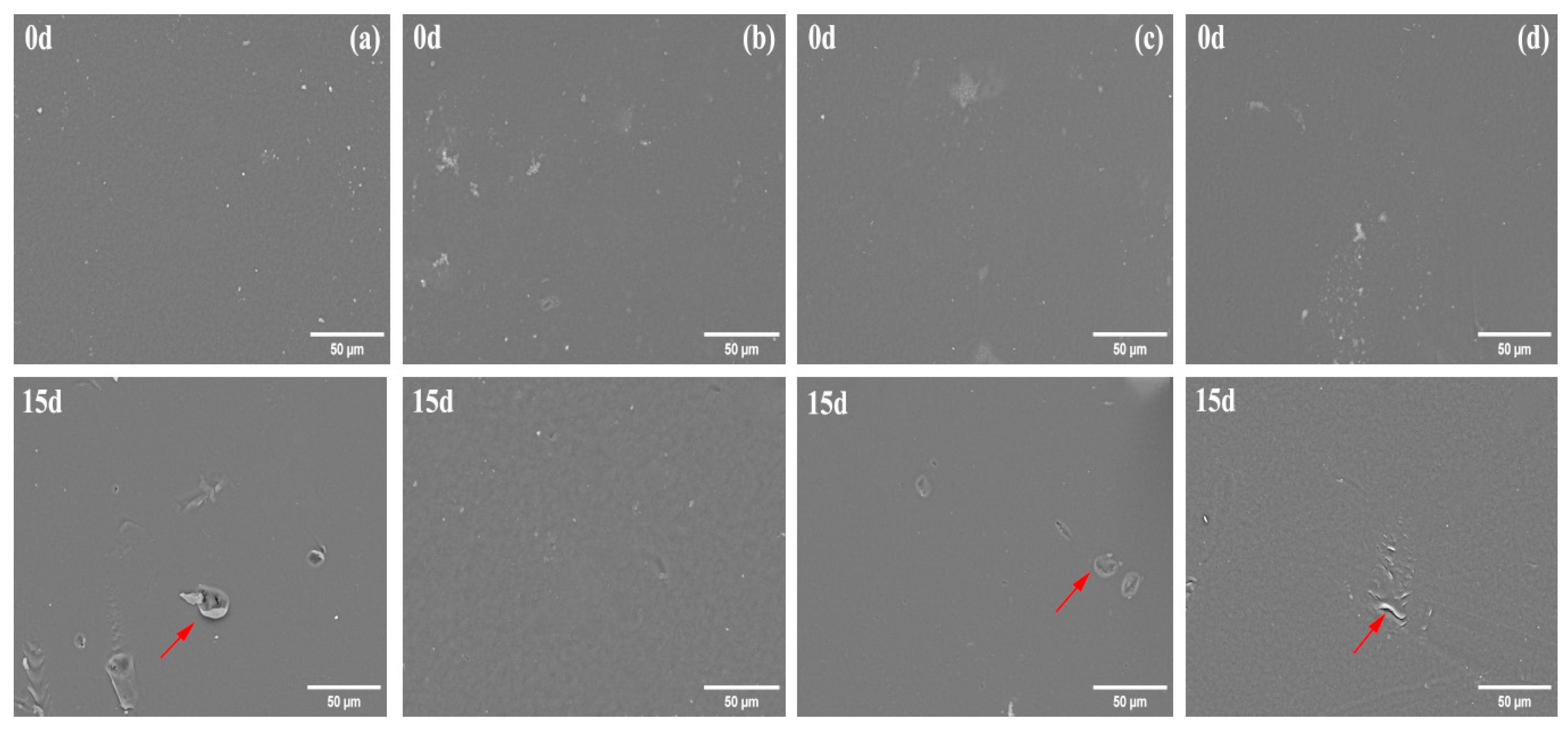 Polymers 16 00411 g003