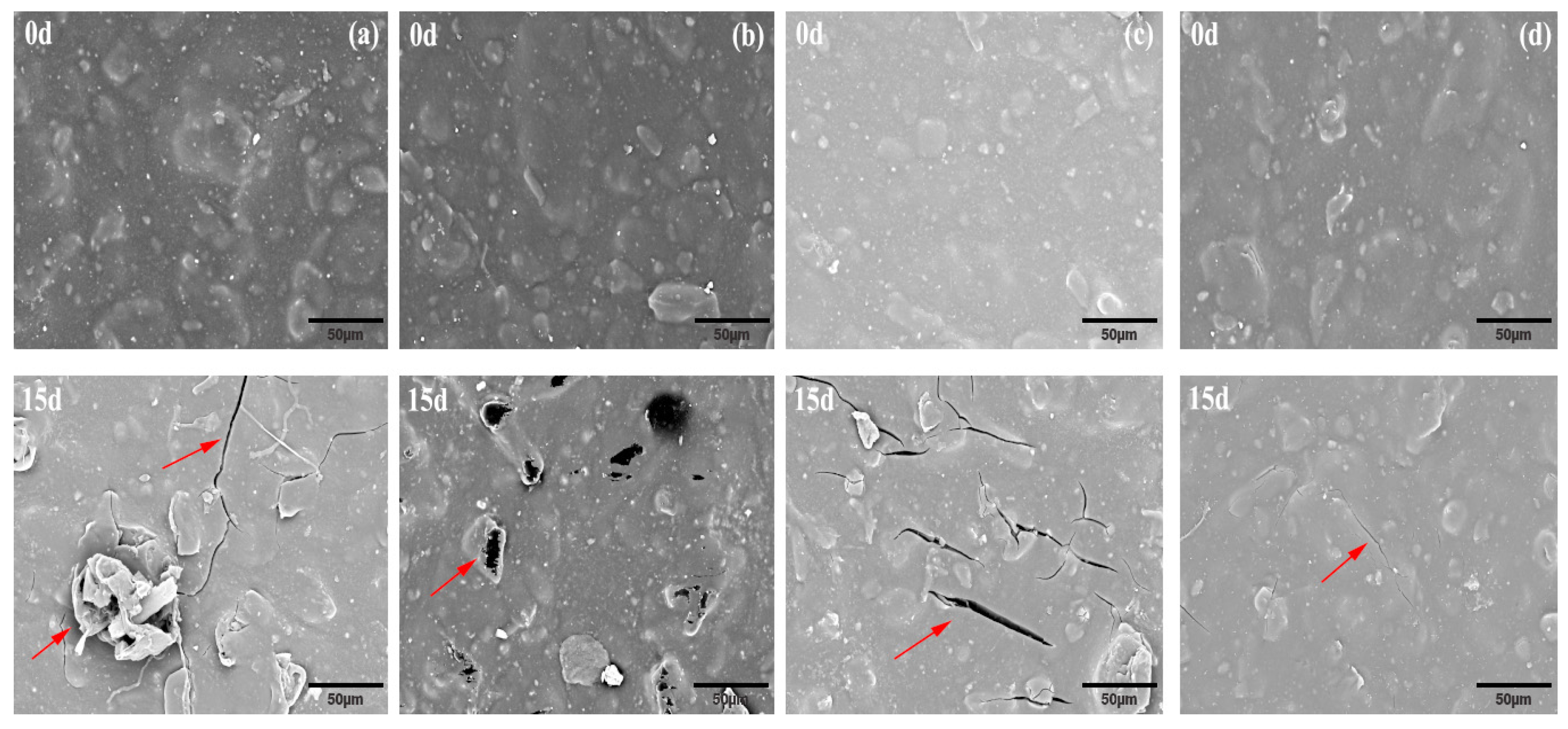 Polymers 16 00411 g004
