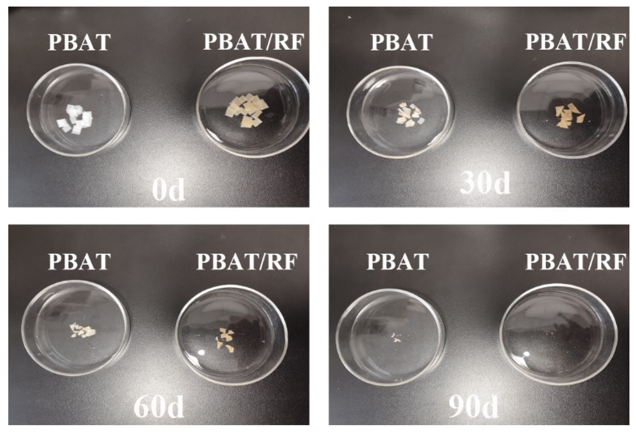 Polymers 16 00411 g010