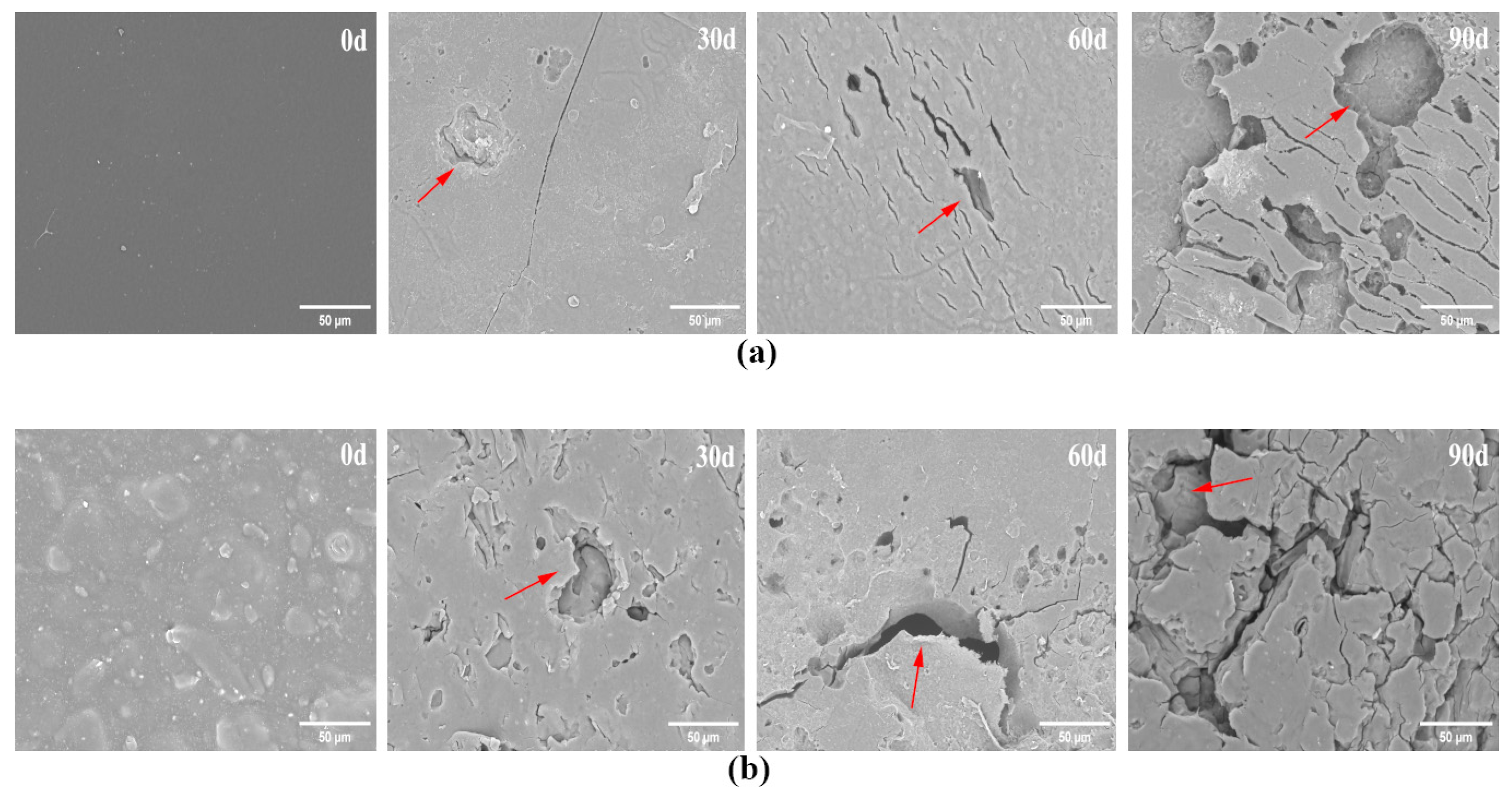 Polymers 16 00411 g011