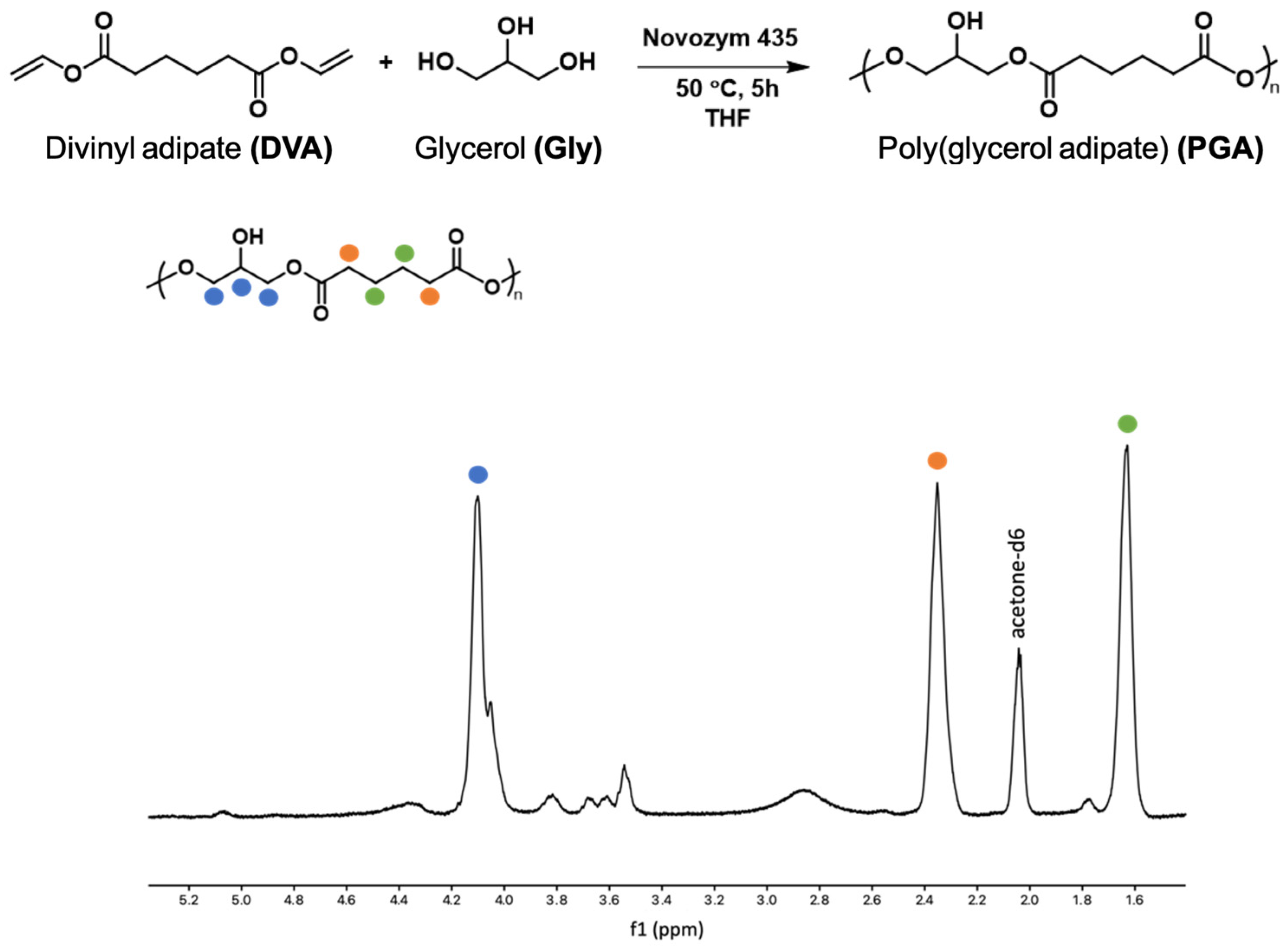 Polymers 16 00427 g001