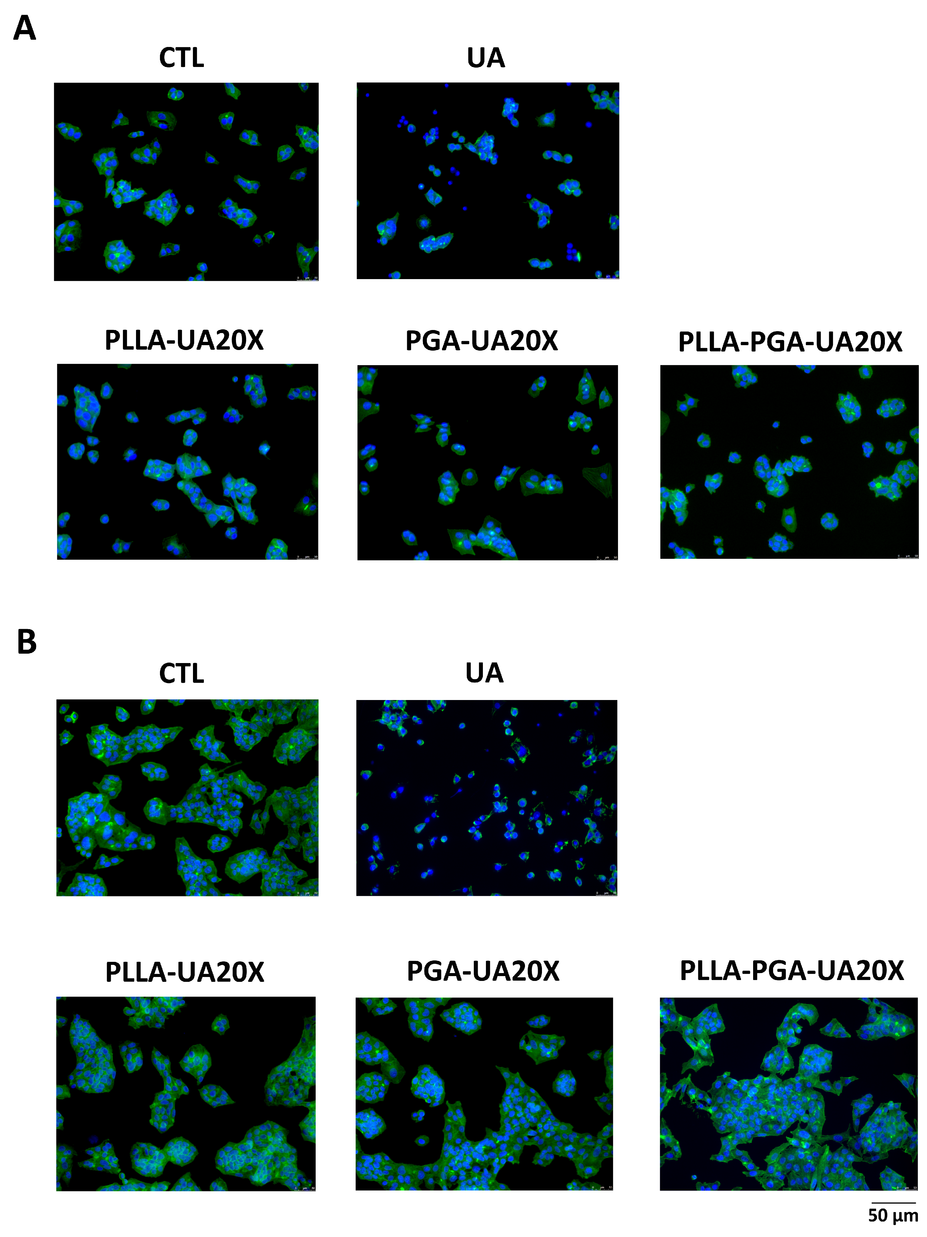 Polymers 16 00427 g009