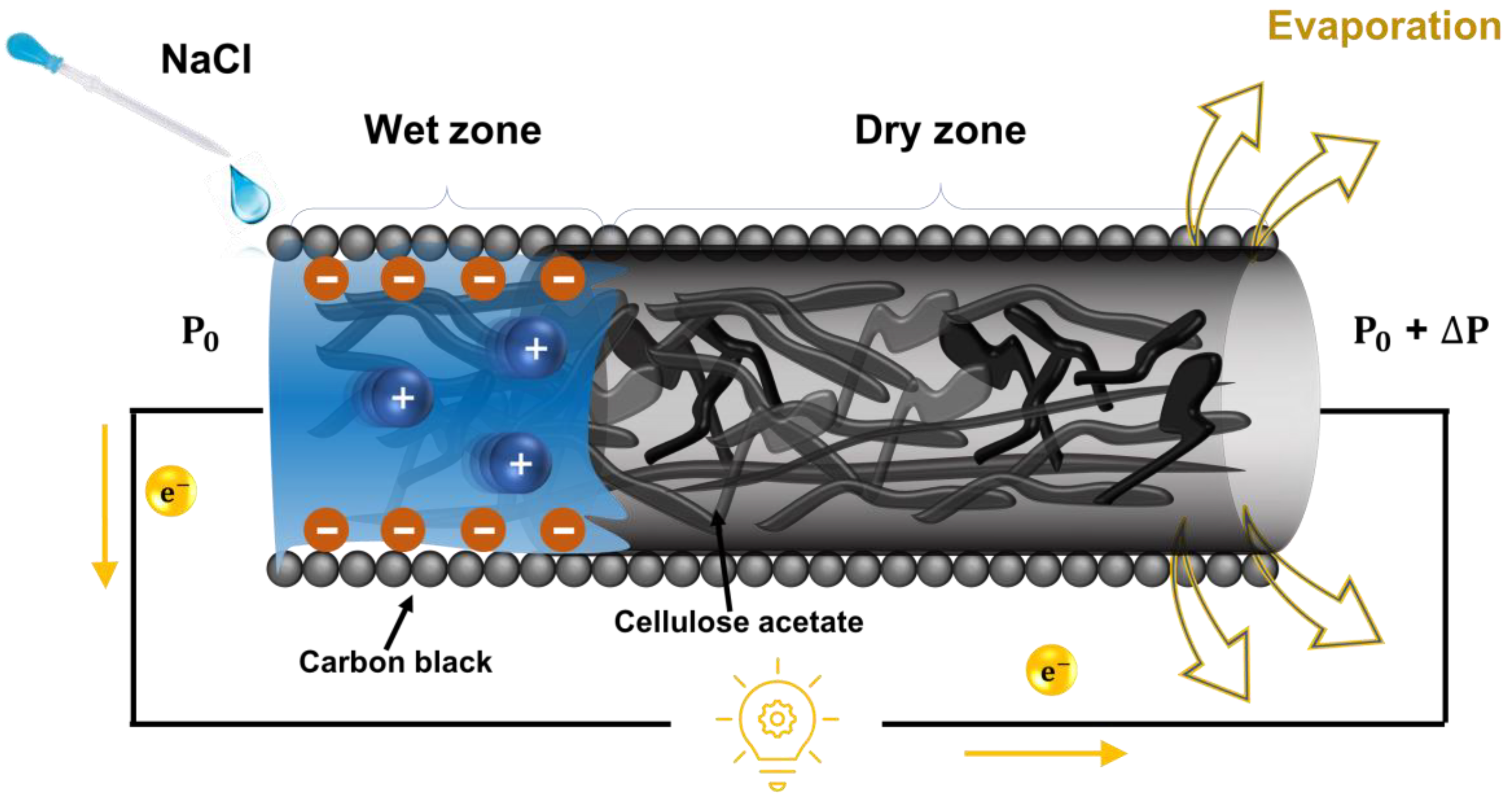 Polymers 16 00433 g005