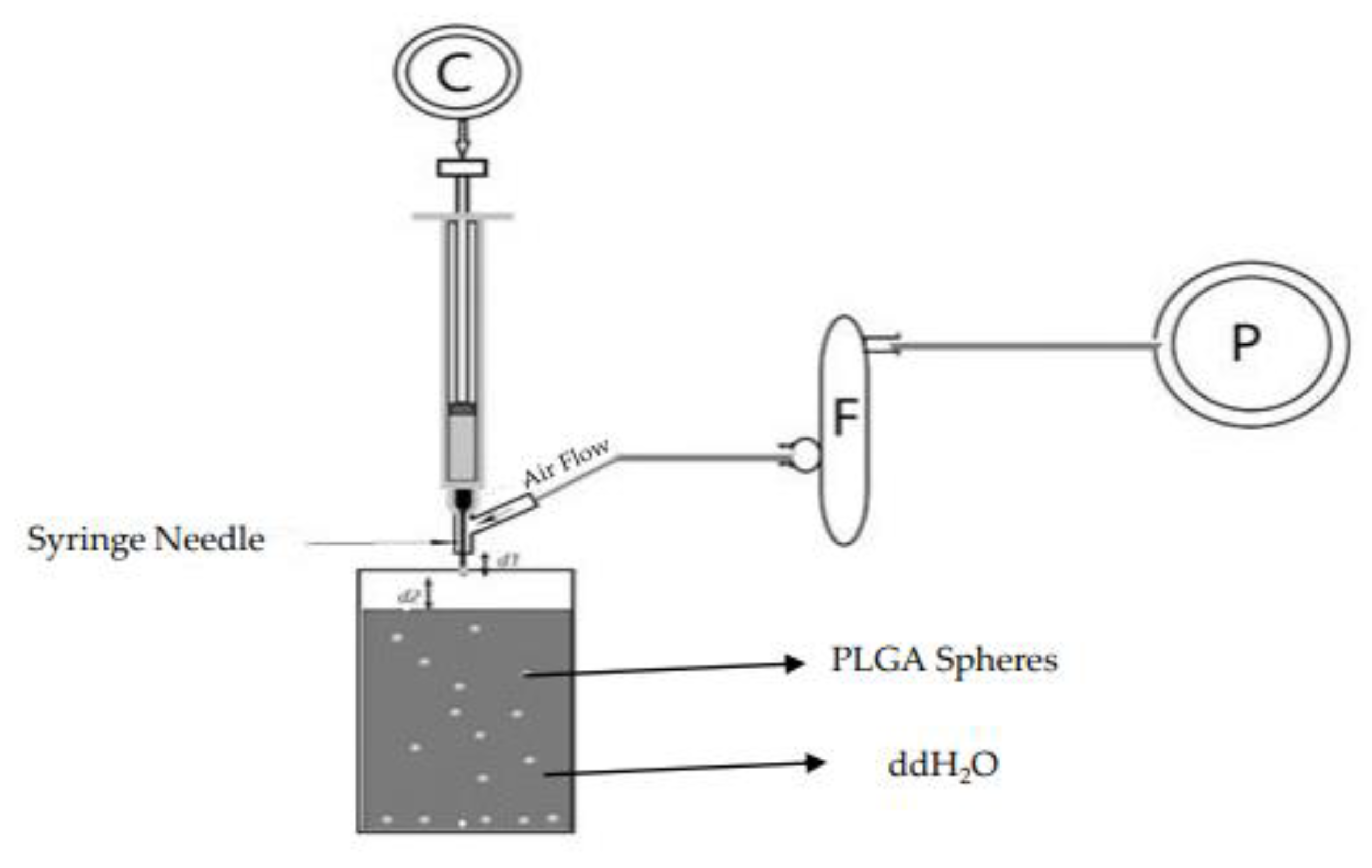 Polymers 16 00434 g001