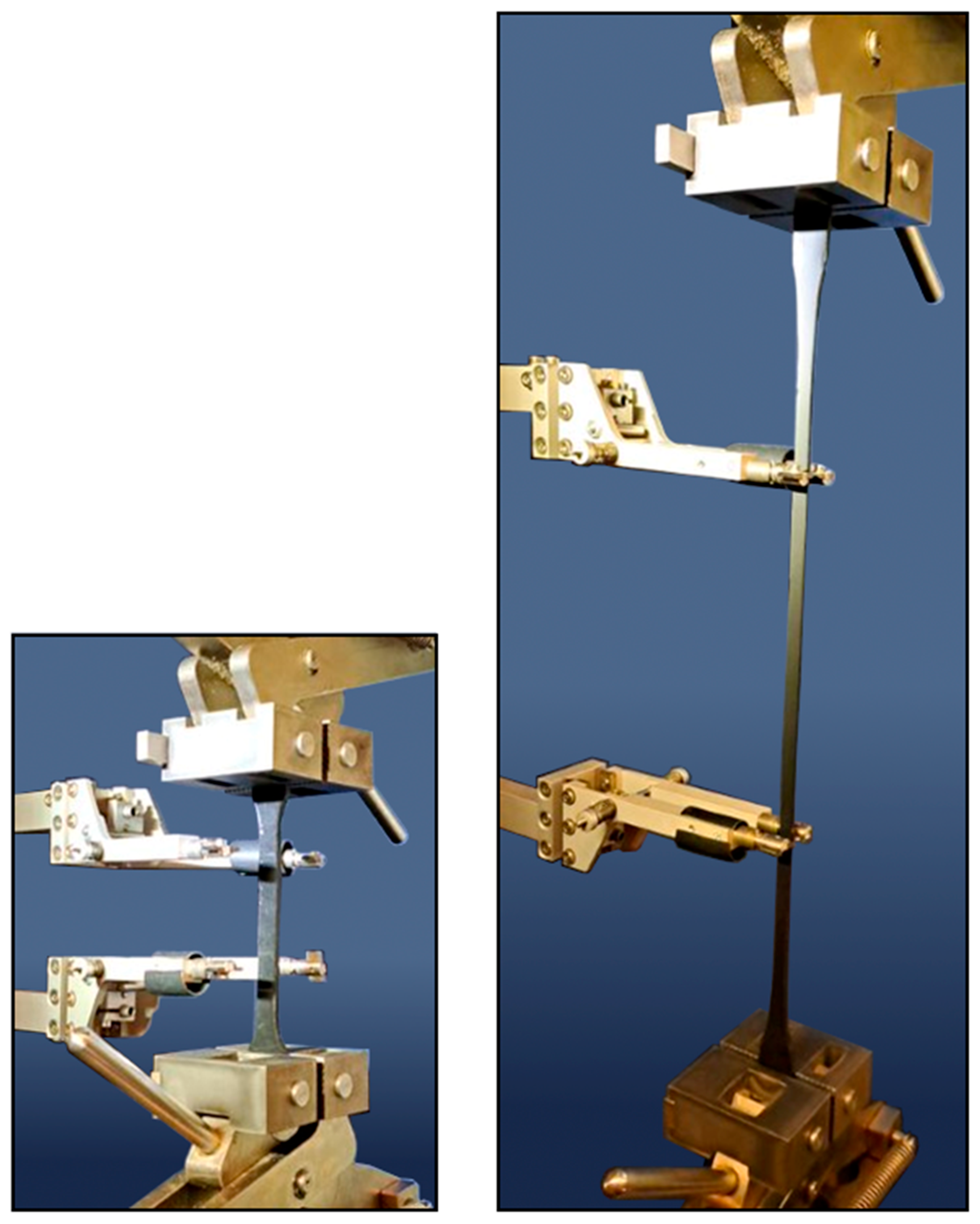 Polymers 16 00444 g003